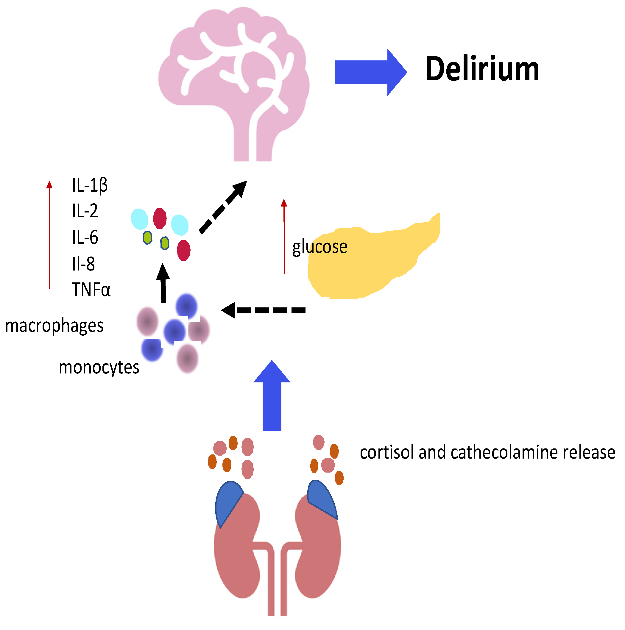 Jcm 14 00407 g003 Jcm 14 00407 g003