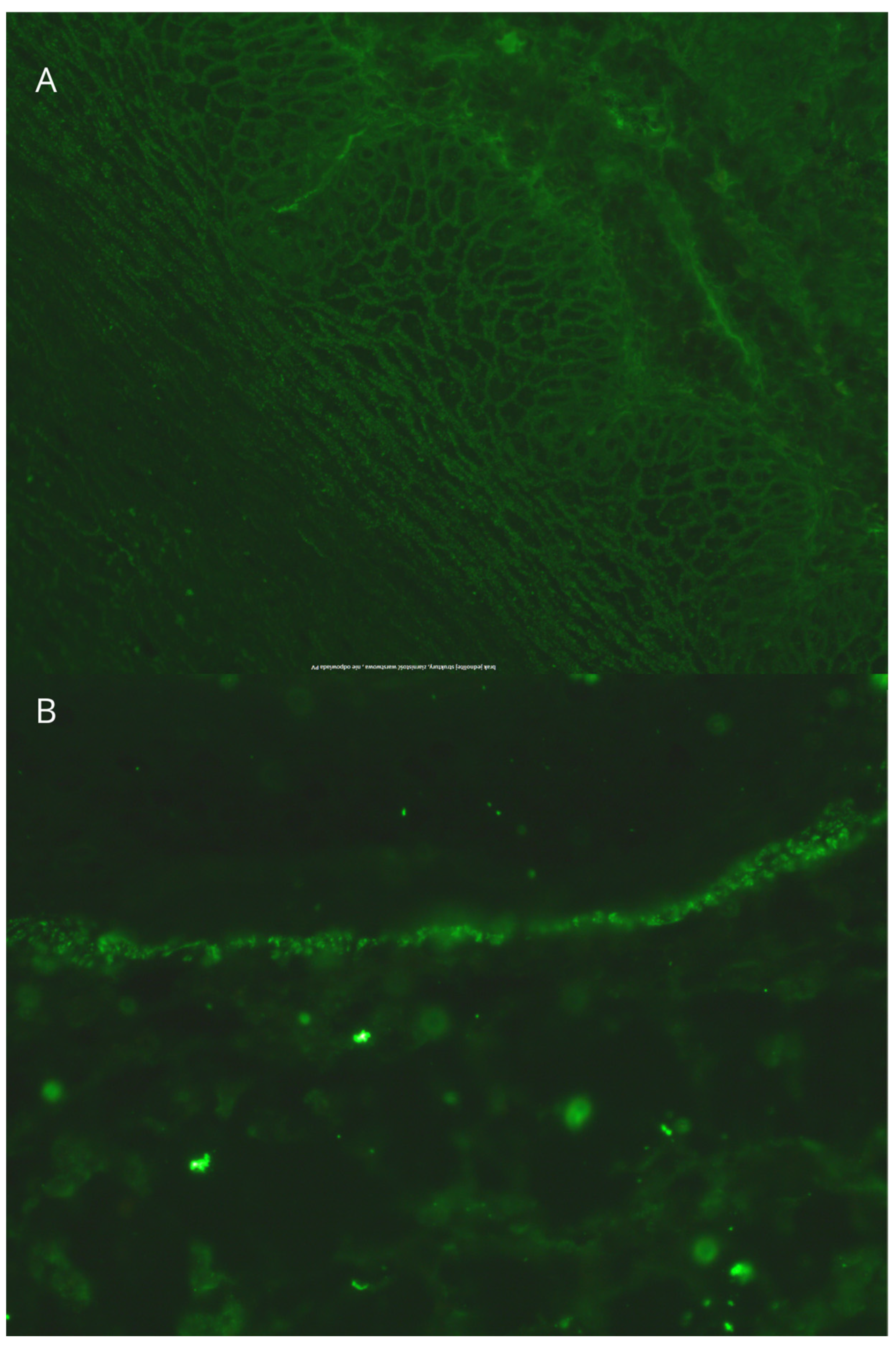Jcm 14 00409 g004 Jcm 14 00409 g004