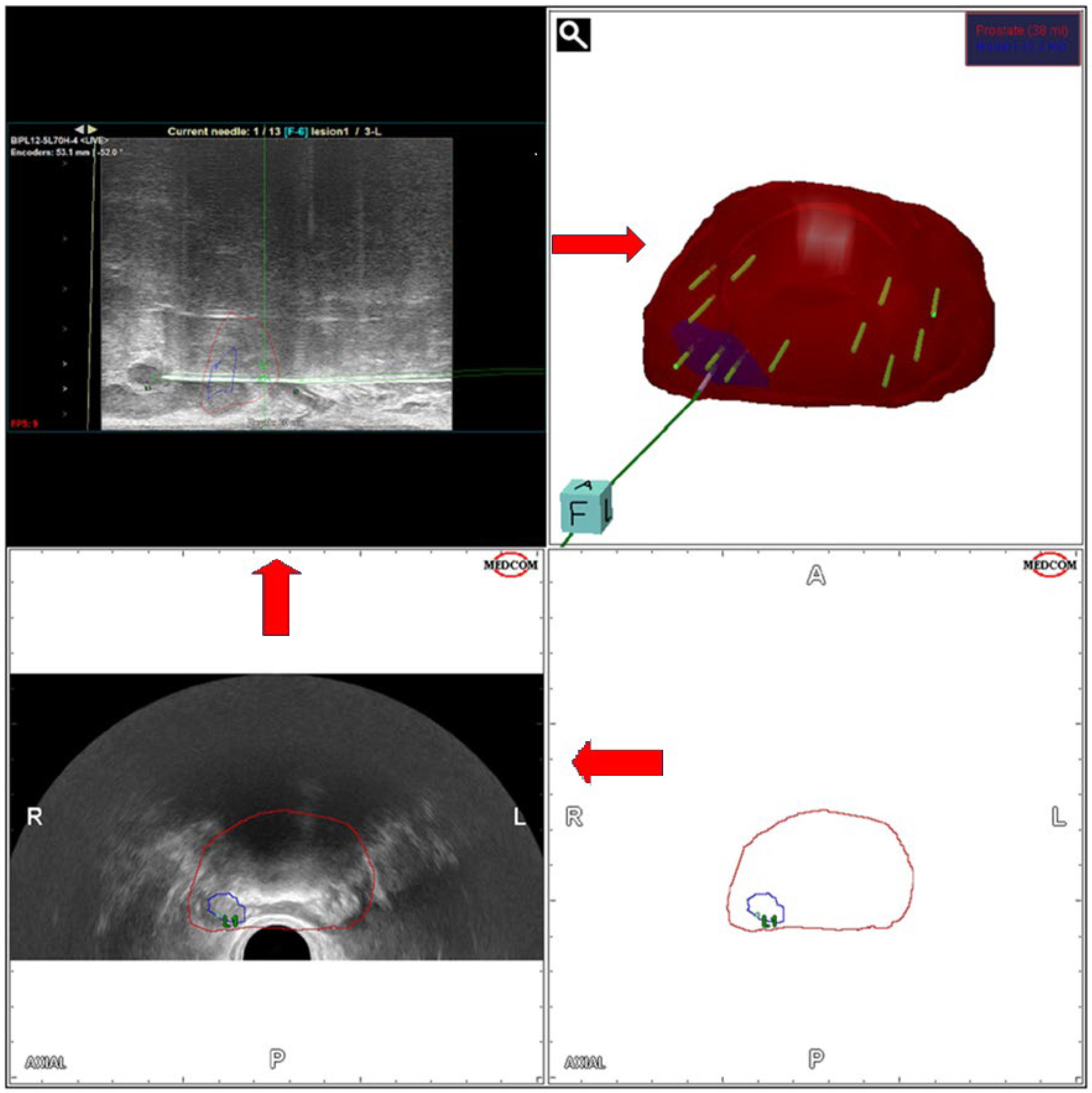 Jcm 14 00453 g002 Jcm 14 00453 g002