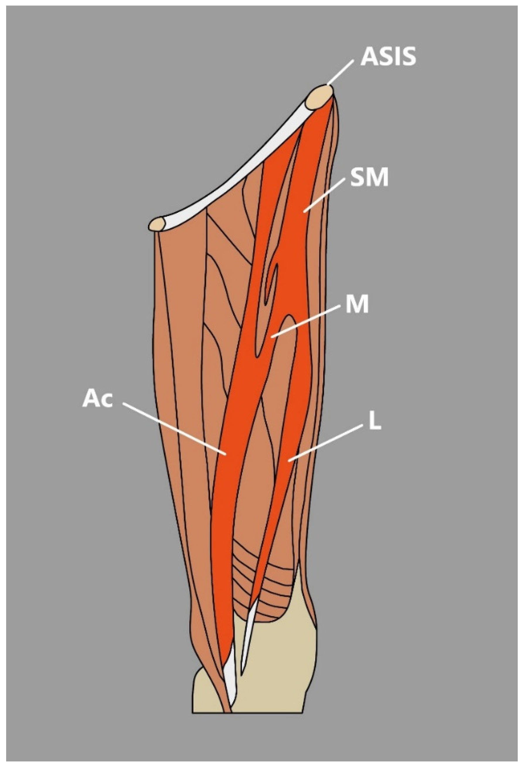 Jcm 14 00464 g002 Jcm 14 00464 g002