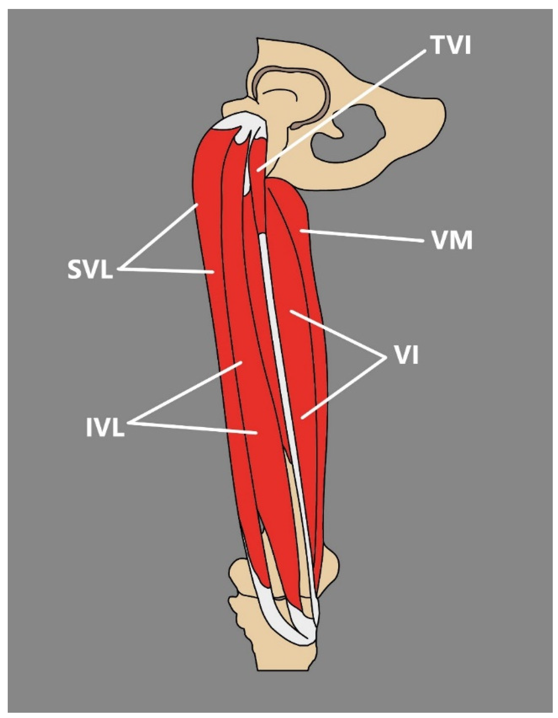 Jcm 14 00464 g003 Jcm 14 00464 g003