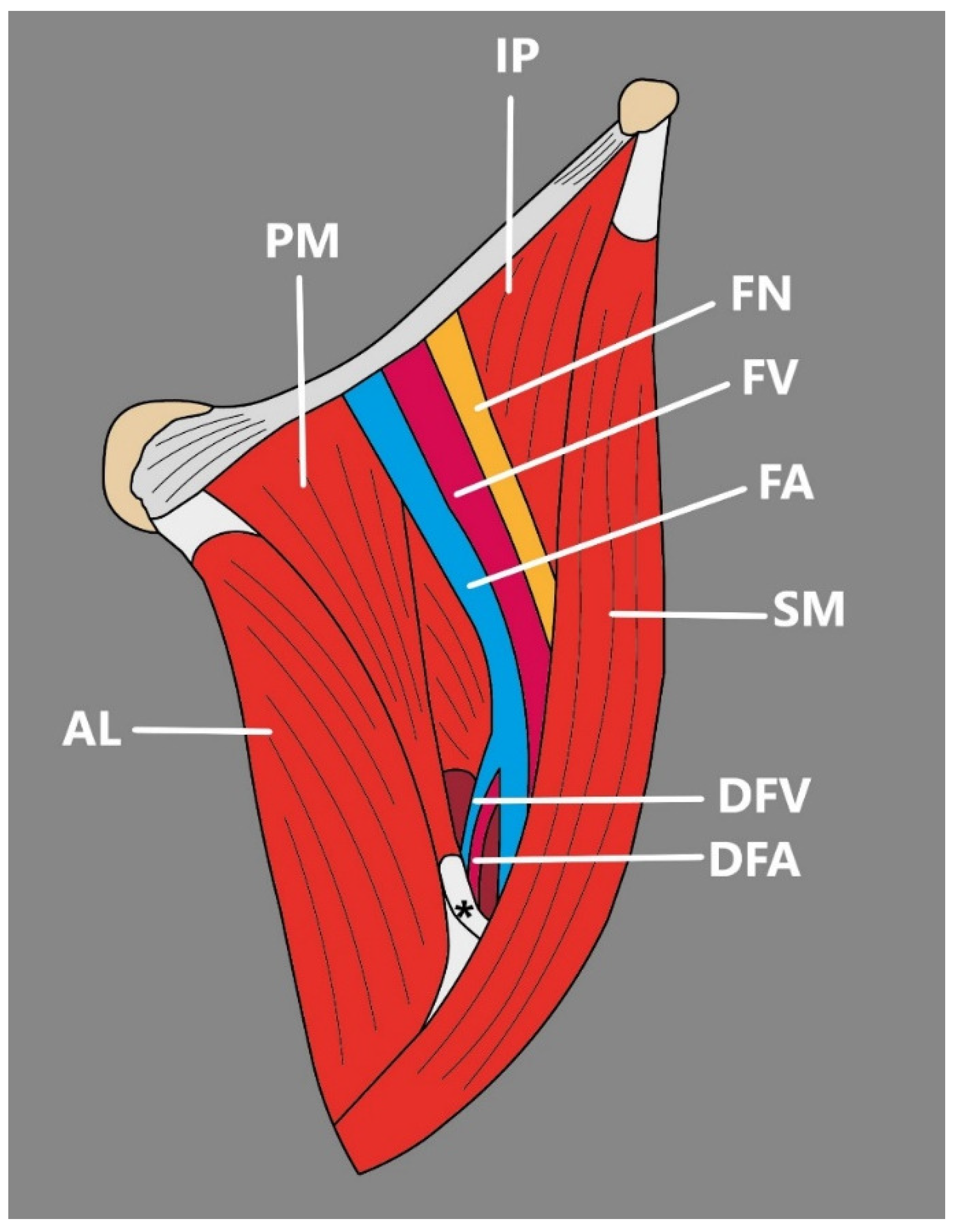 Jcm 14 00464 g005 Jcm 14 00464 g005