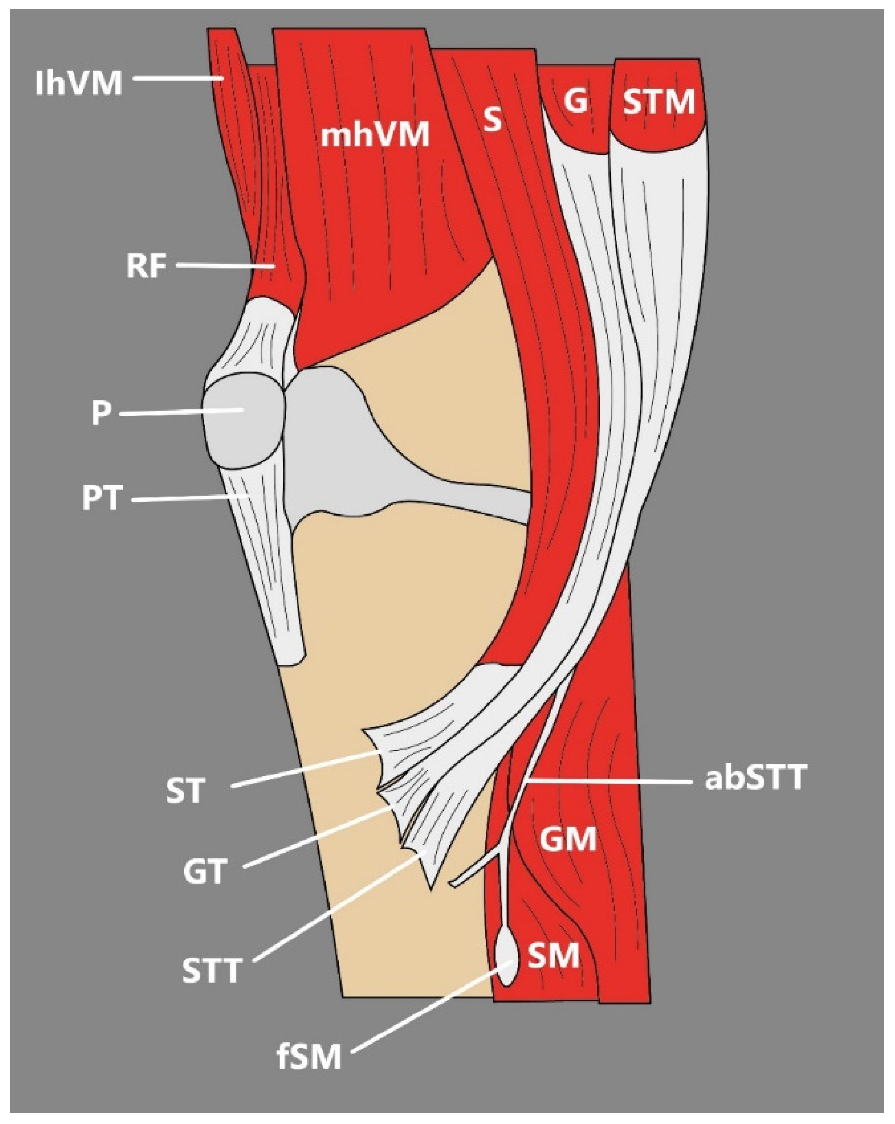 Jcm 14 00464 g006 Jcm 14 00464 g006