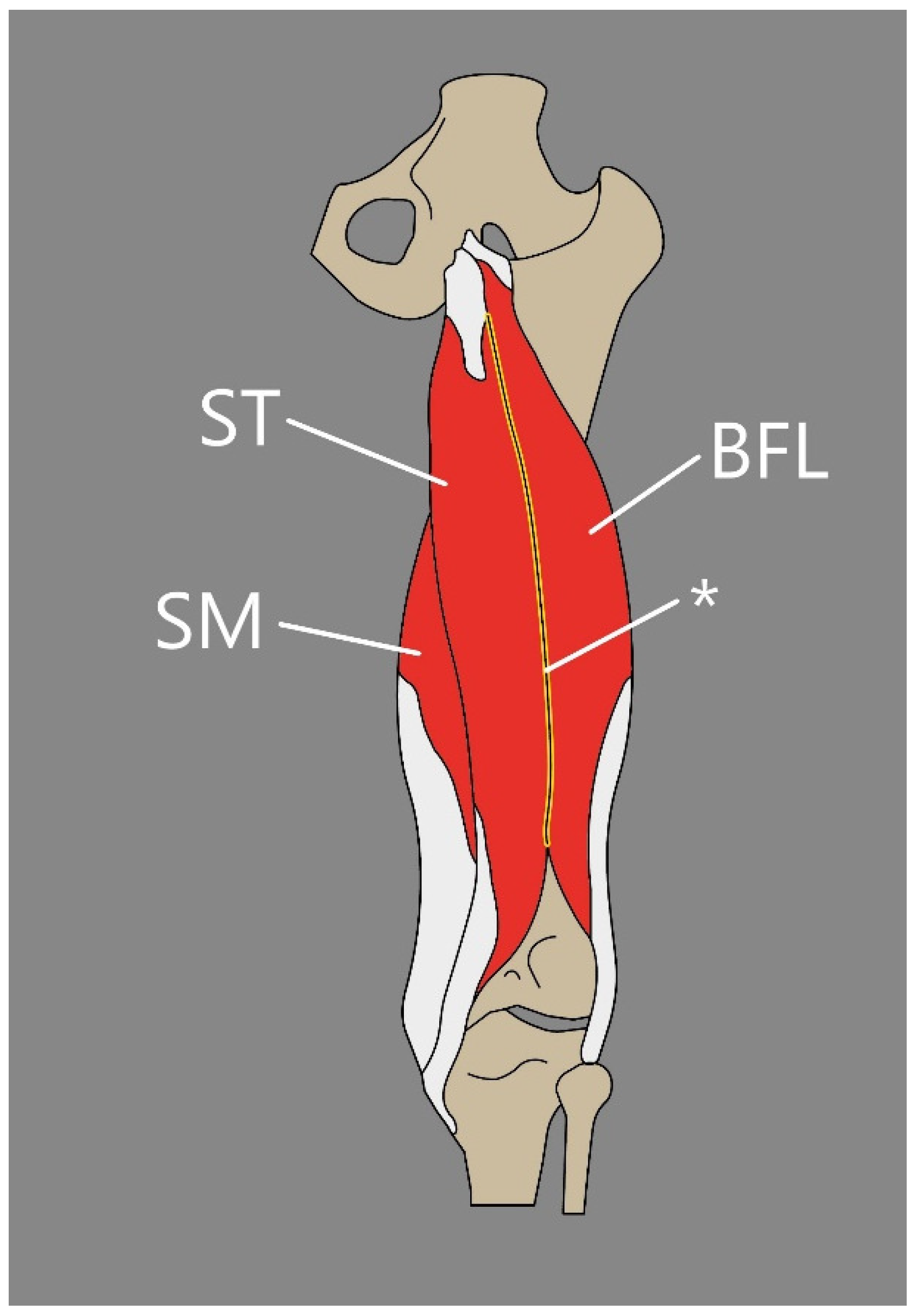 Jcm 14 00464 g007 Jcm 14 00464 g007