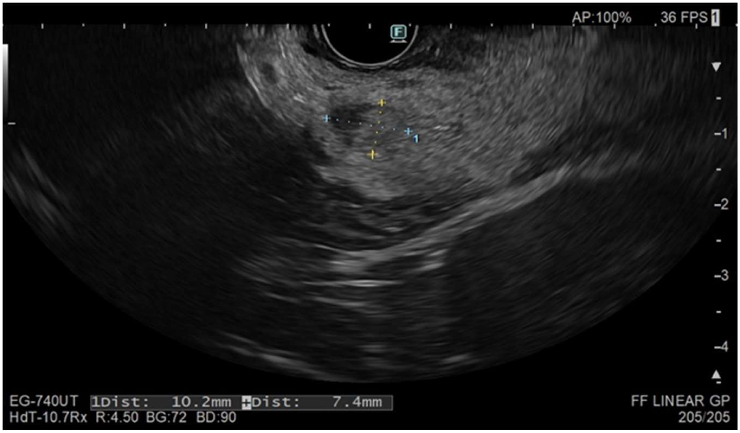 Jcm 14 00495 g002 Jcm 14 00495 g002