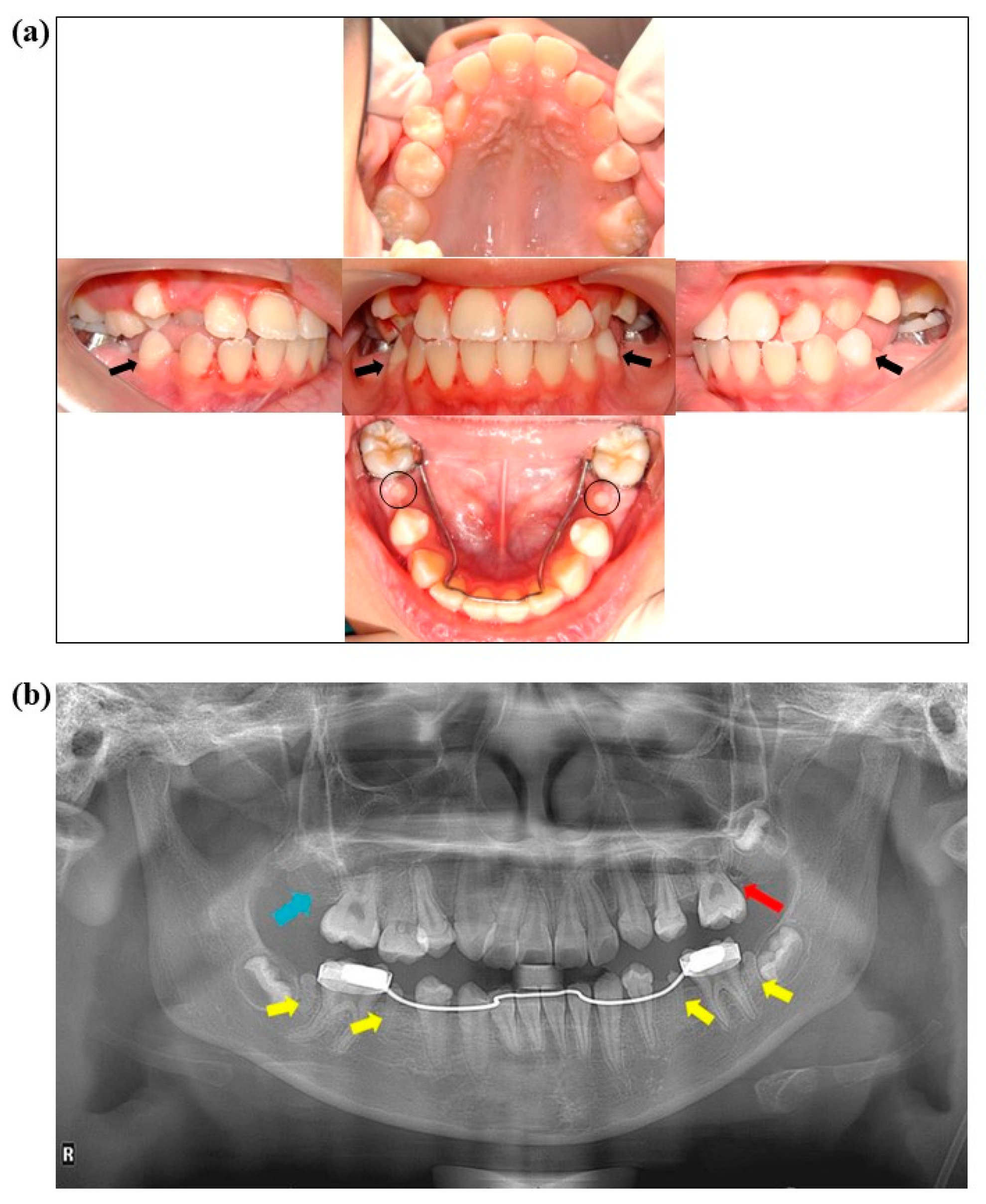 Jcm 14 00603 g002 Jcm 14 00603 g002