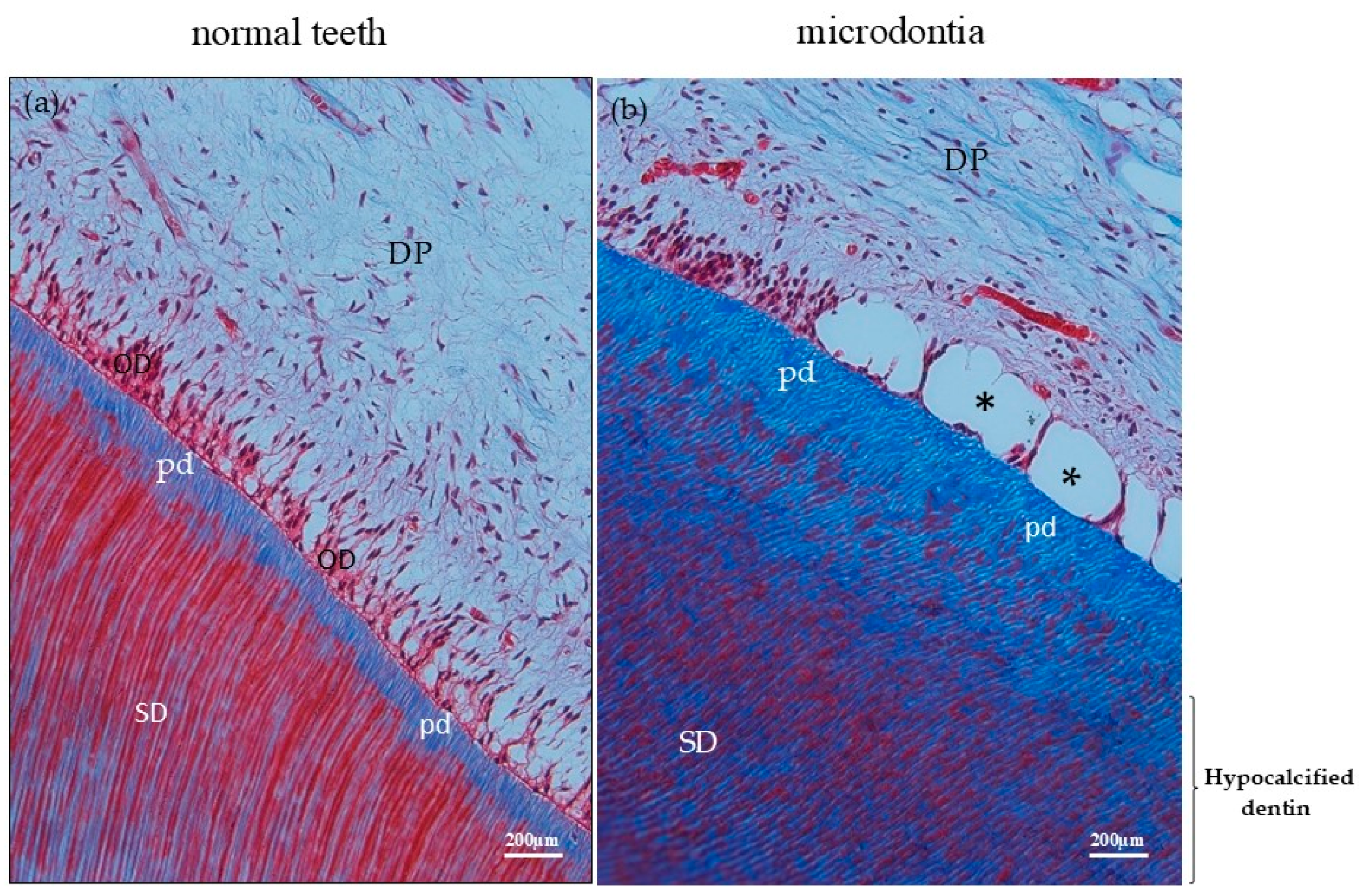 Jcm 14 00603 g007 Jcm 14 00603 g007