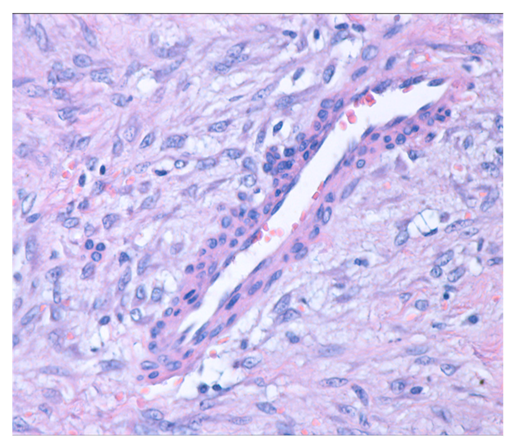 Jcm 14 00610 g004 Jcm 14 00610 g004