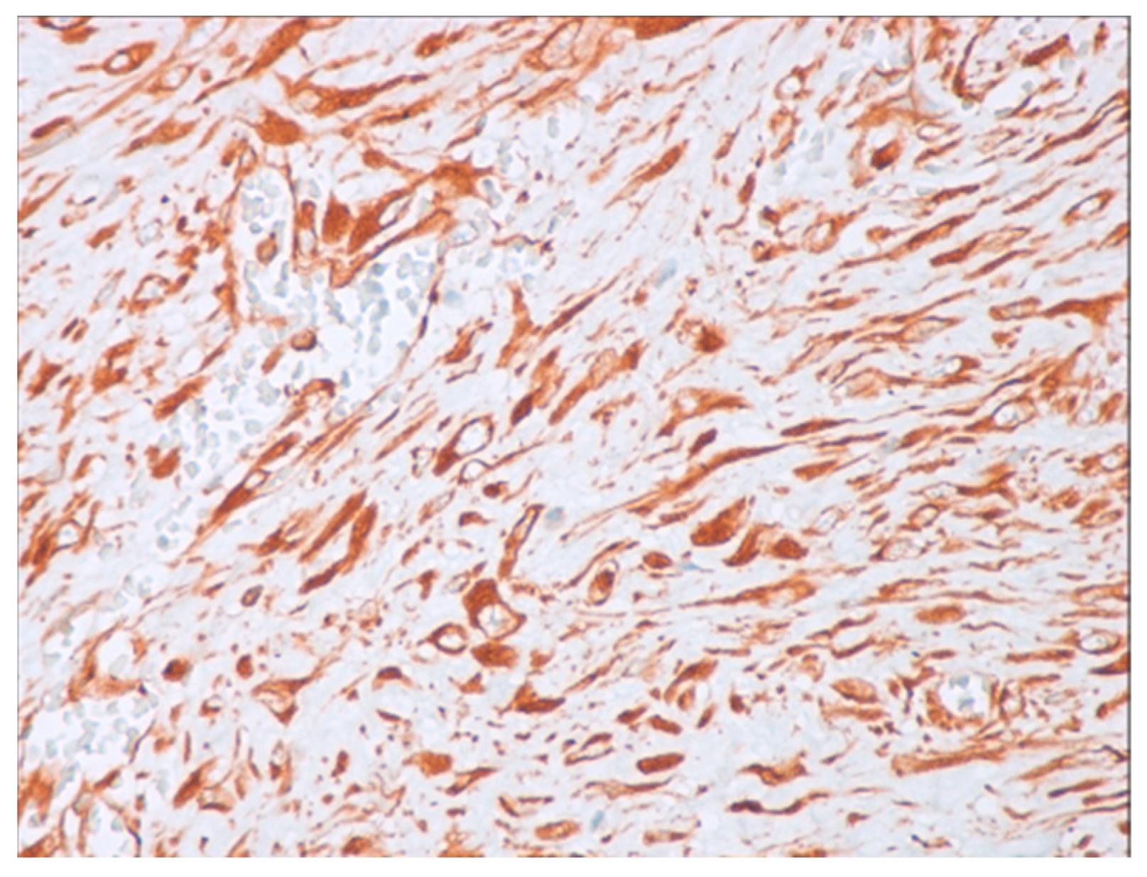 Jcm 14 00610 g005 Jcm 14 00610 g005