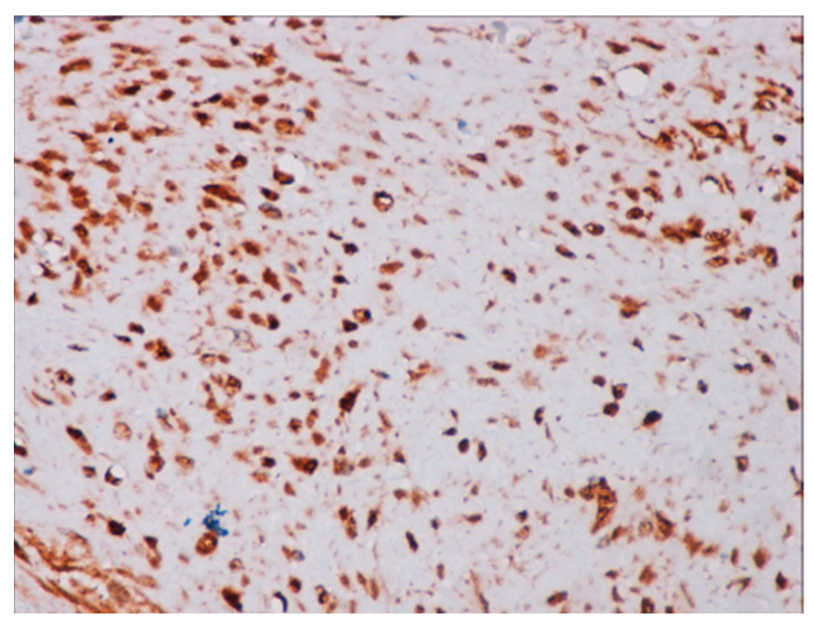 Jcm 14 00610 g006 Jcm 14 00610 g006