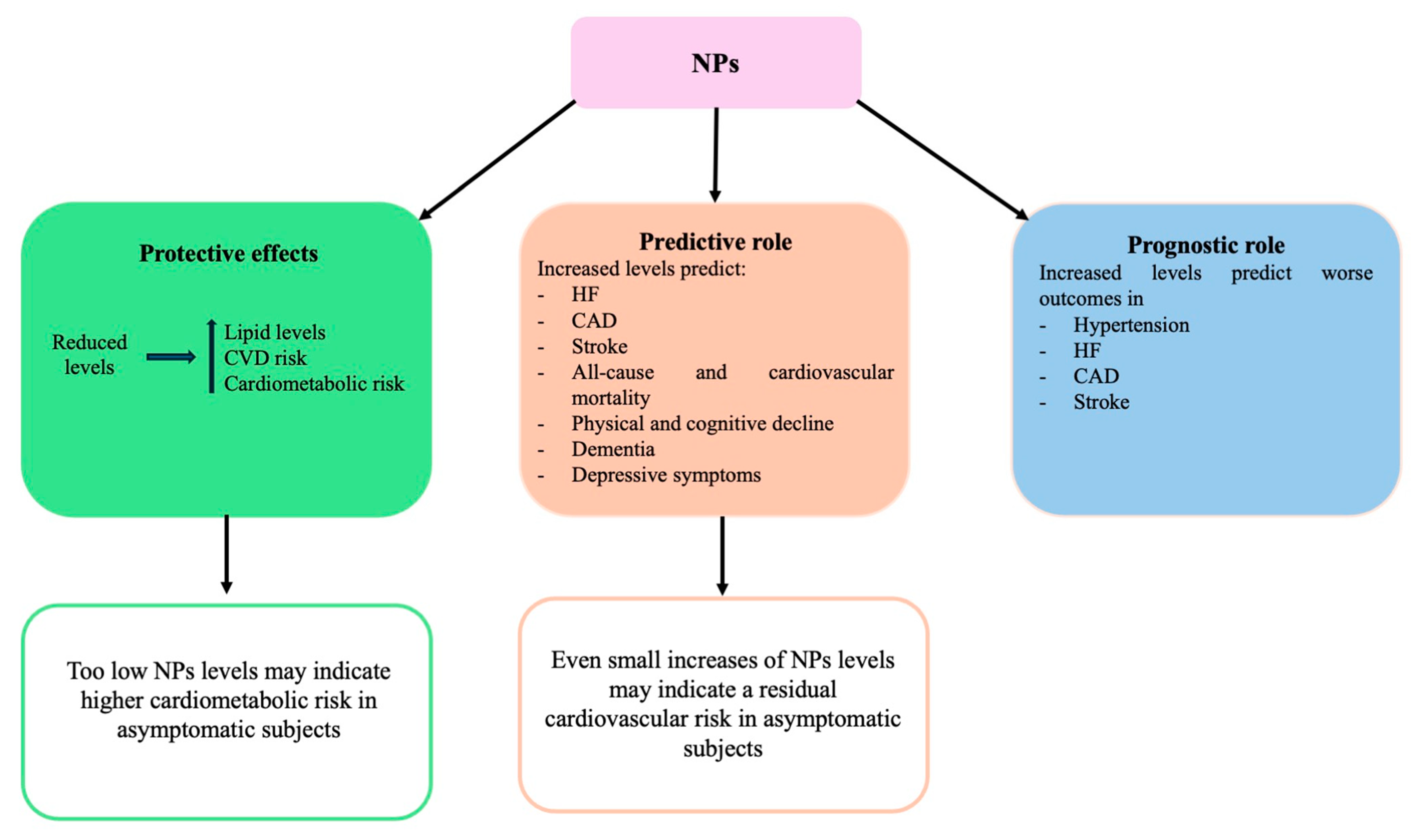 Jcm 14 00626 g001 Jcm 14 00626 g001