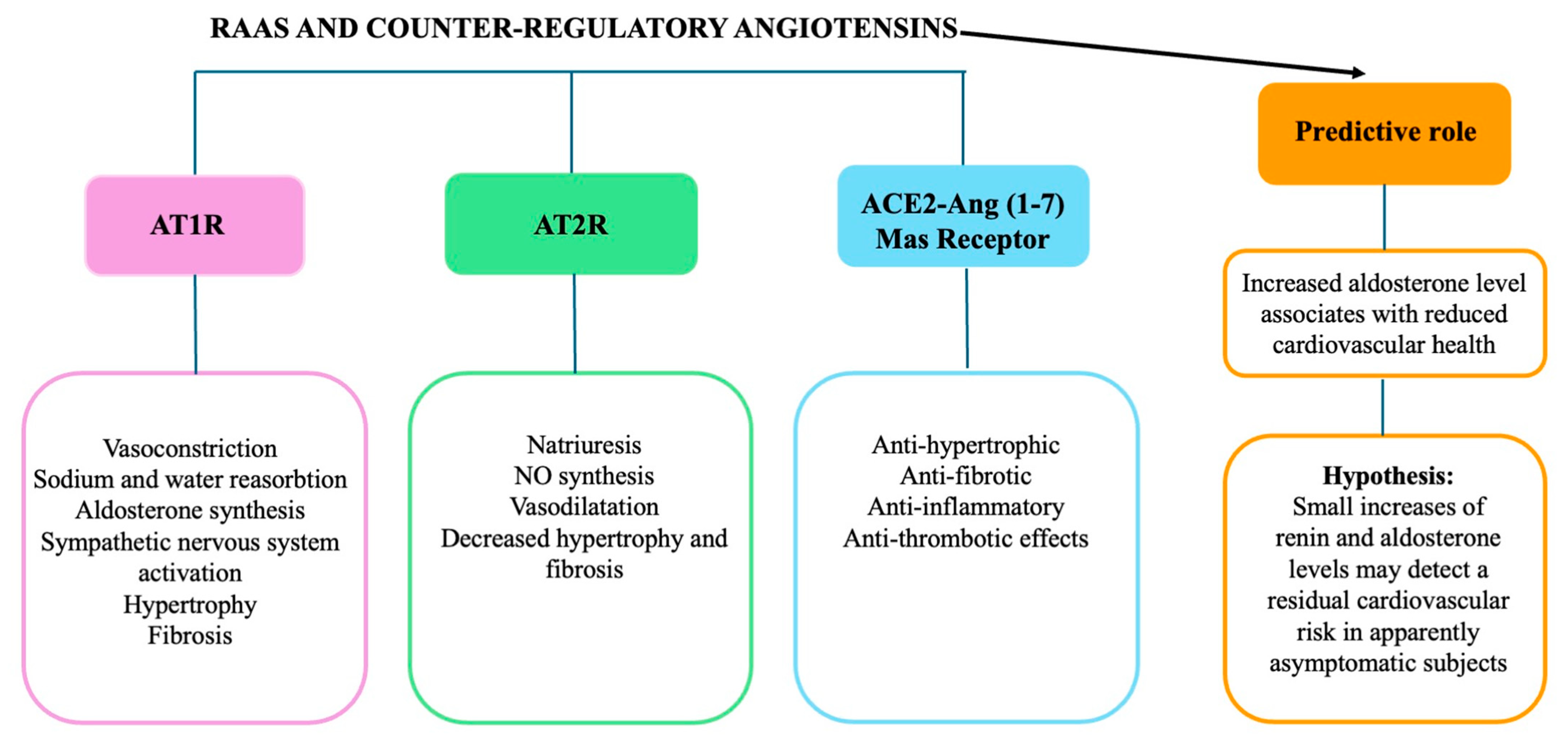Jcm 14 00626 g002 Jcm 14 00626 g002