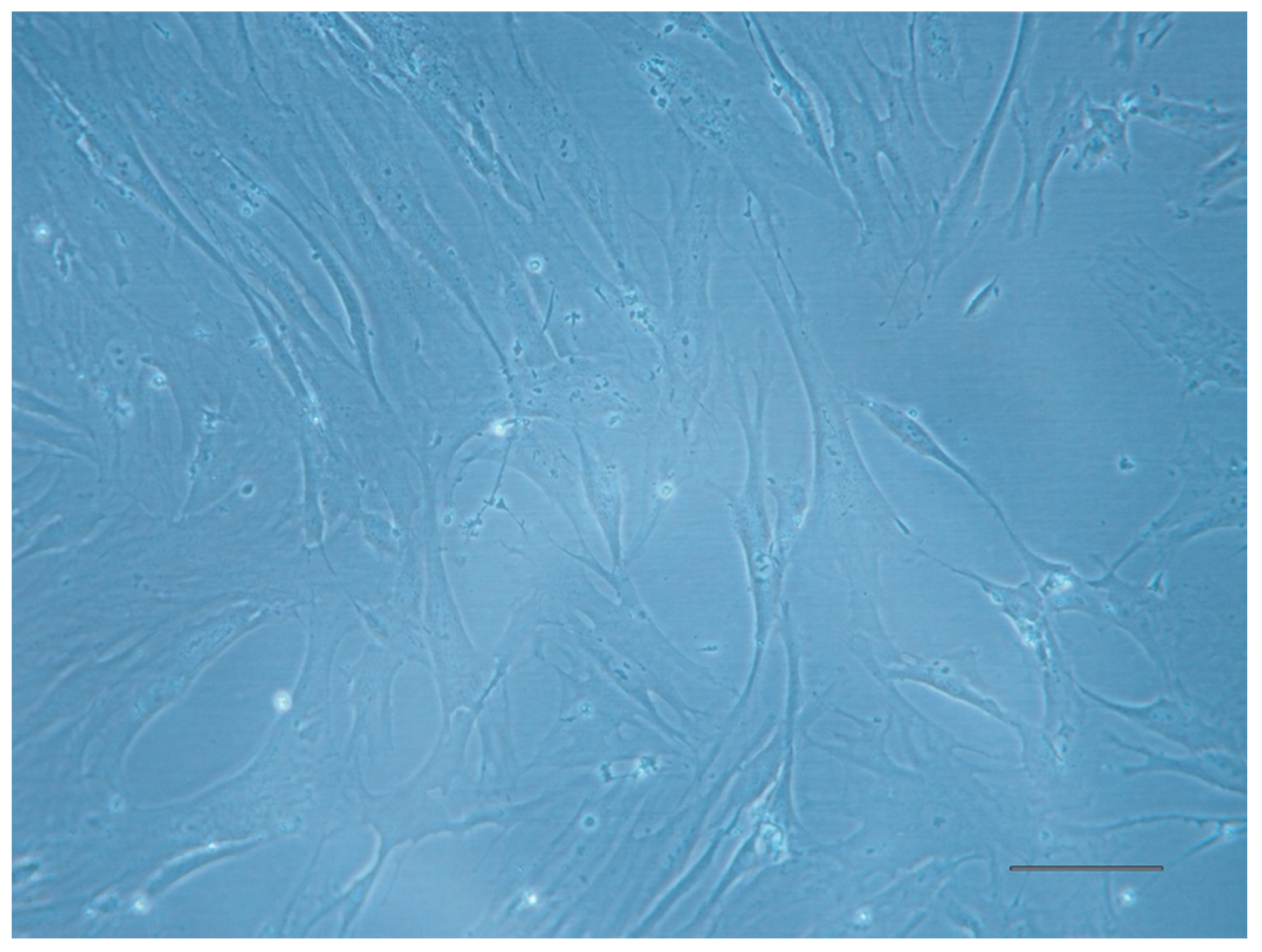 Jcm 14 00660 g001