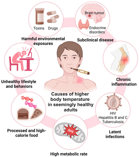 What are the Toxins in the Body: Hidden Dangers You Must Know