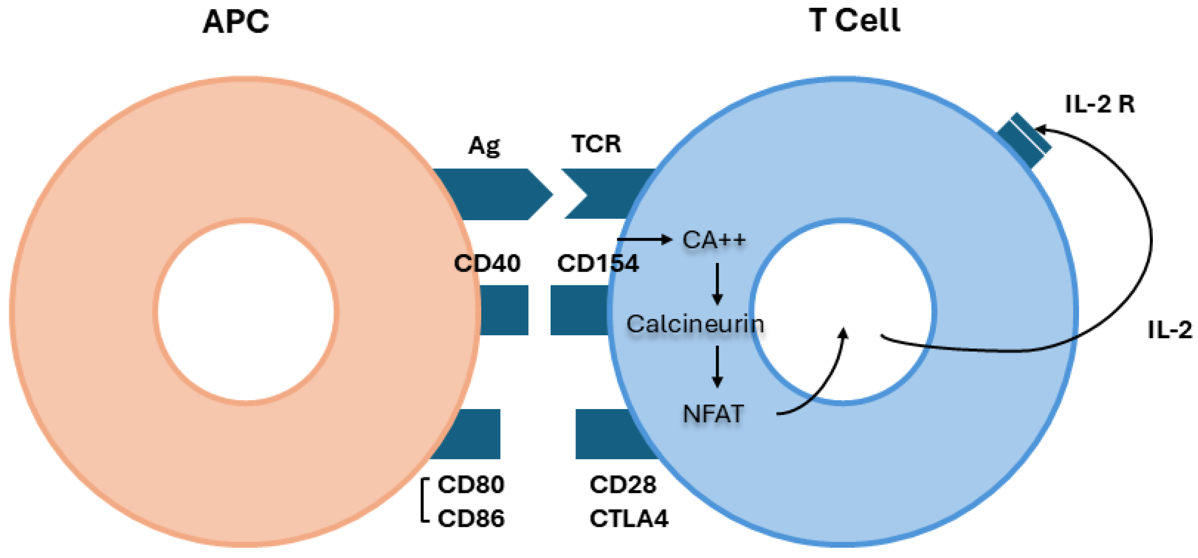 Jcm 14 00761 g001 Jcm 14 00761 g001