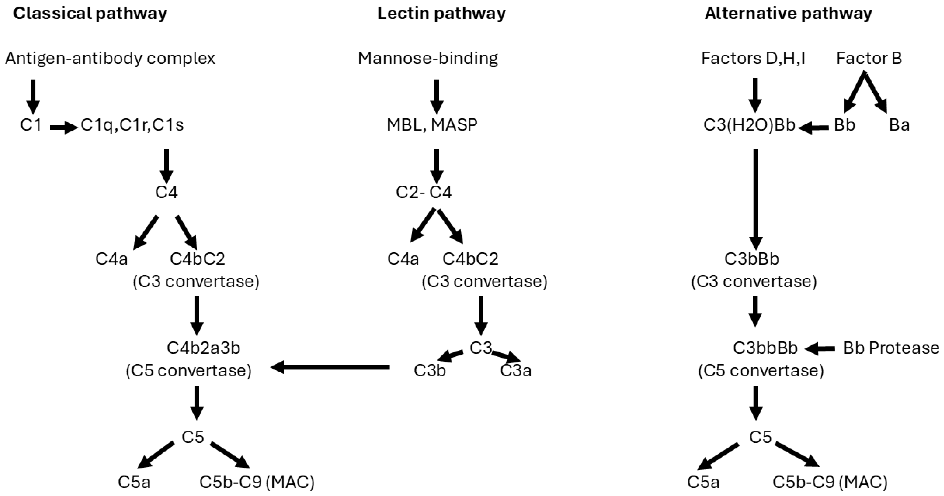 Jcm 14 00761 g002 Jcm 14 00761 g002