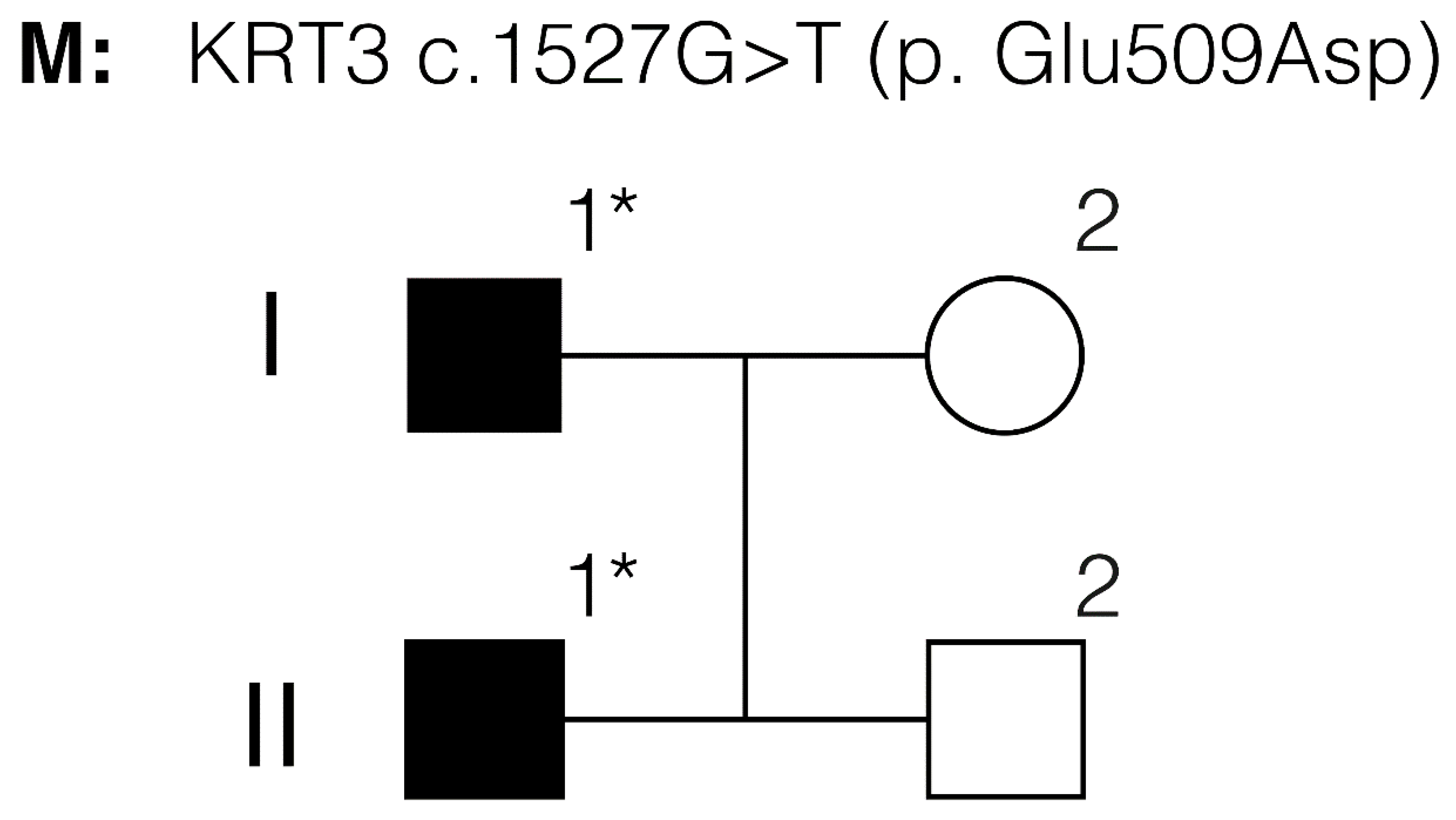 Jcm 14 00851 g001 Jcm 14 00851 g001