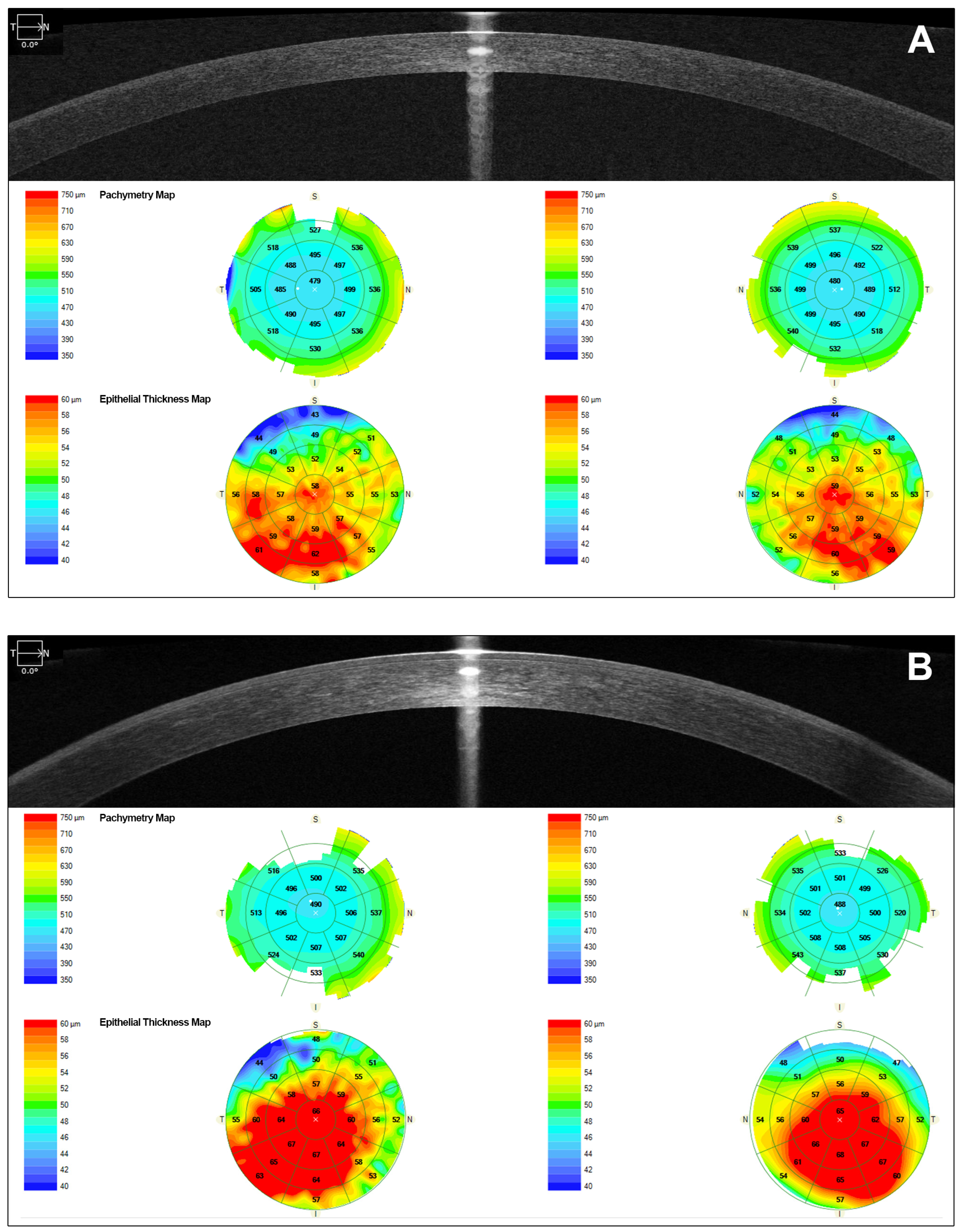 Jcm 14 00851 g003 Jcm 14 00851 g003