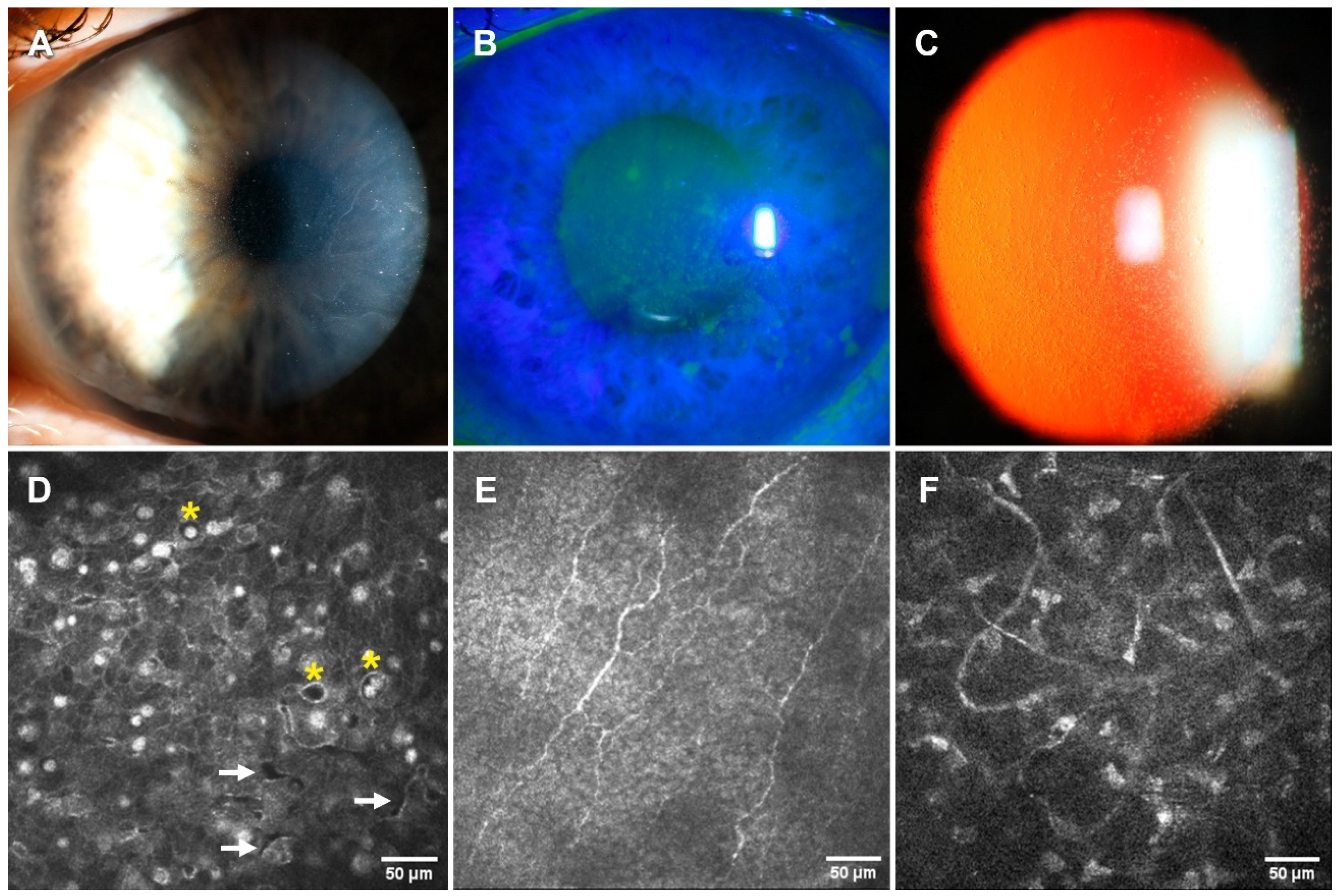 Jcm 14 00851 g004 Jcm 14 00851 g004