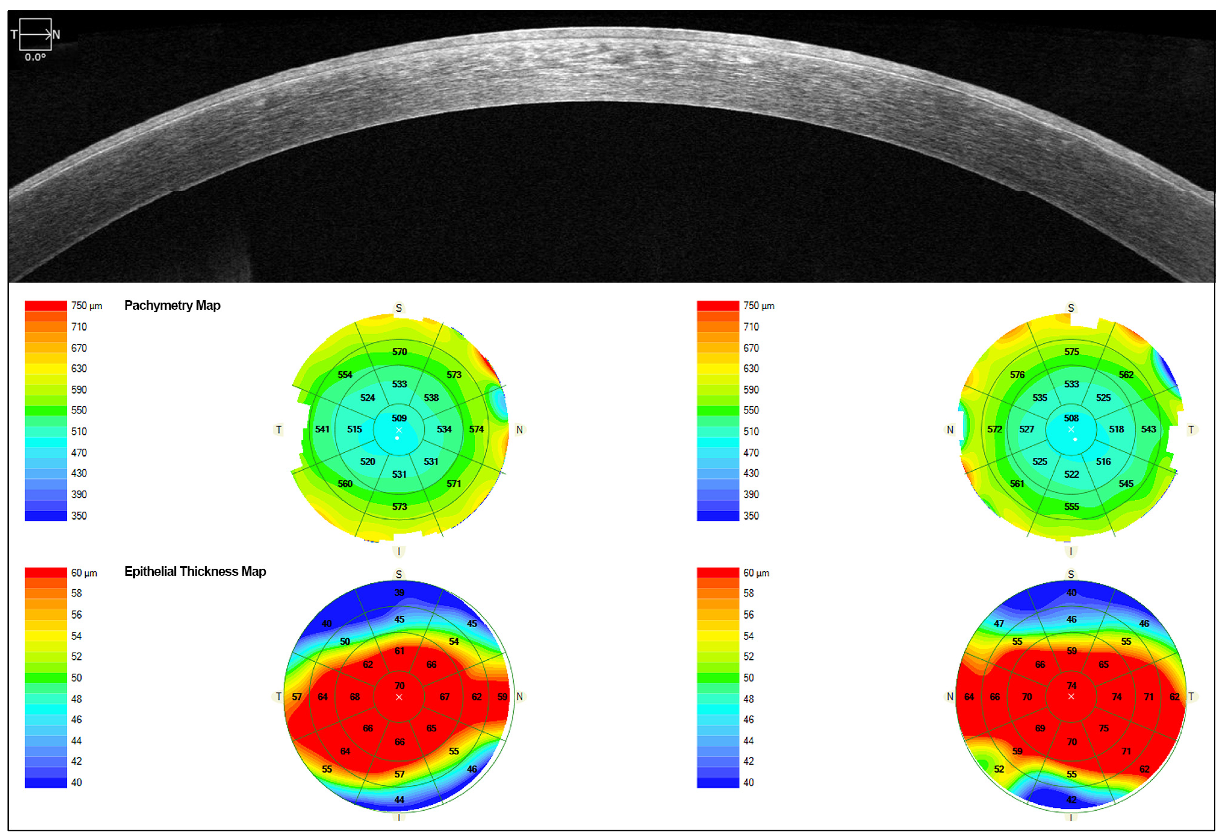 Jcm 14 00851 g005 Jcm 14 00851 g005