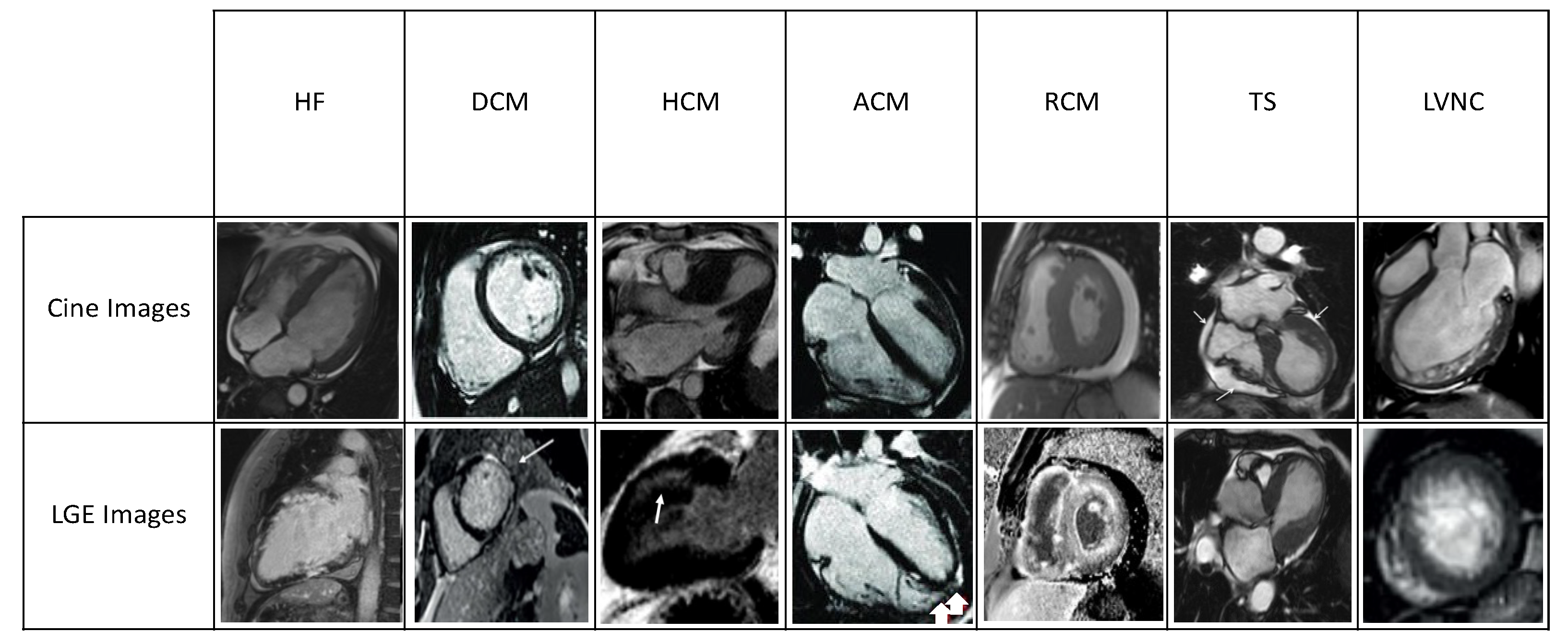 Jcm 14 00865 g001 Jcm 14 00865 g001