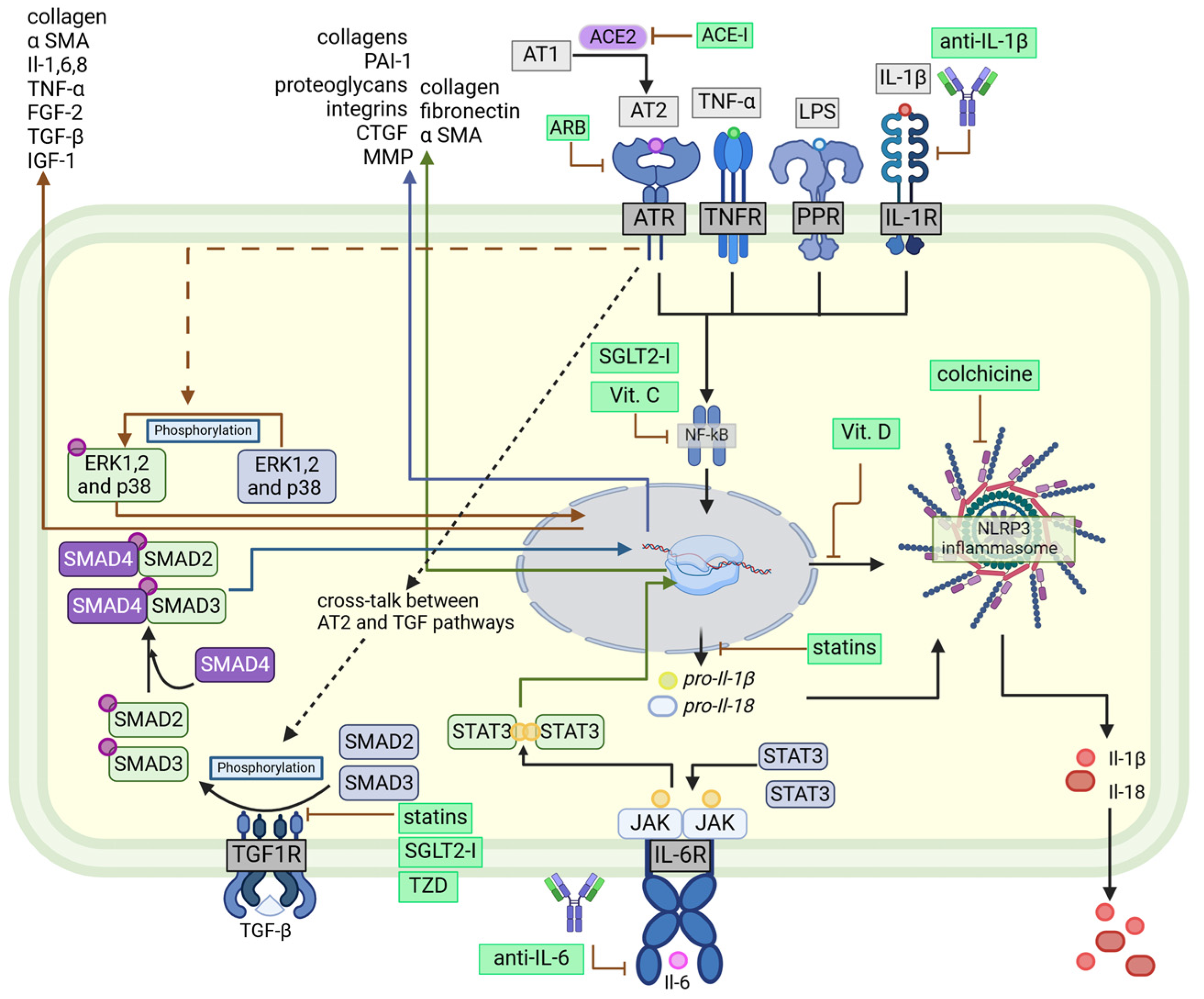 Jcm 14 00882 g002 Jcm 14 00882 g002