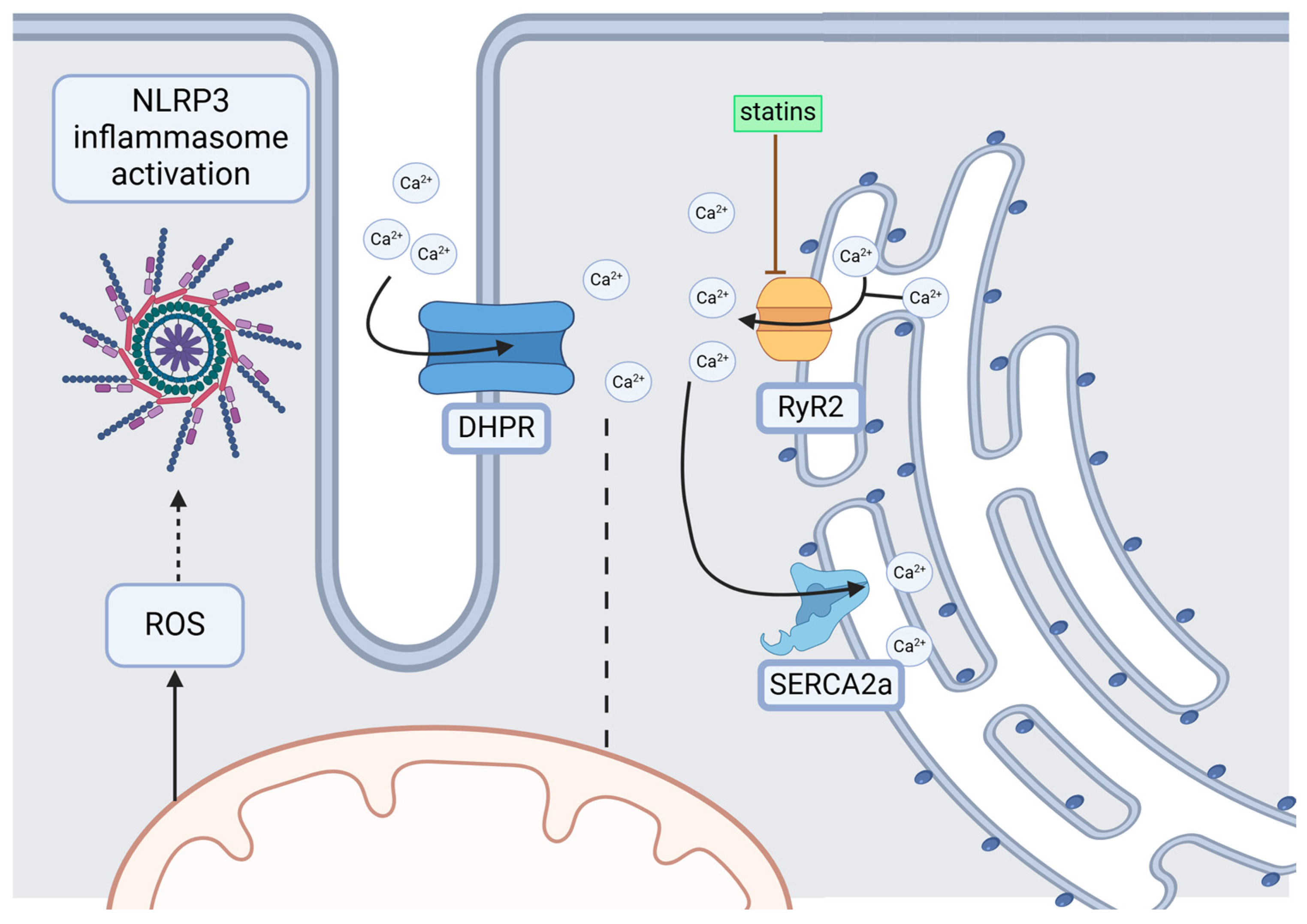 Jcm 14 00882 g003 Jcm 14 00882 g003