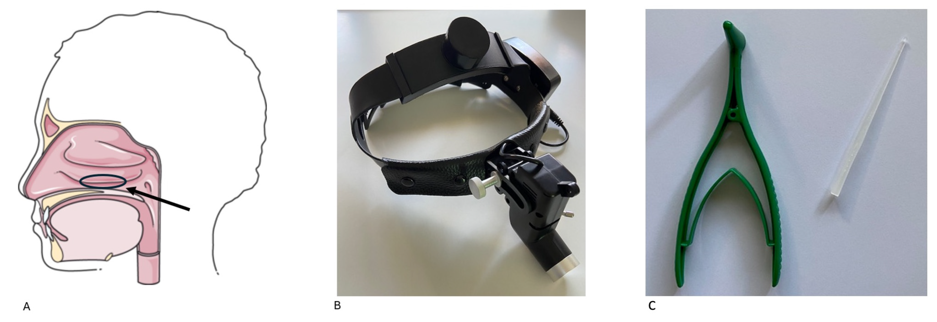 Jcm 14 00884 g001 Jcm 14 00884 g001