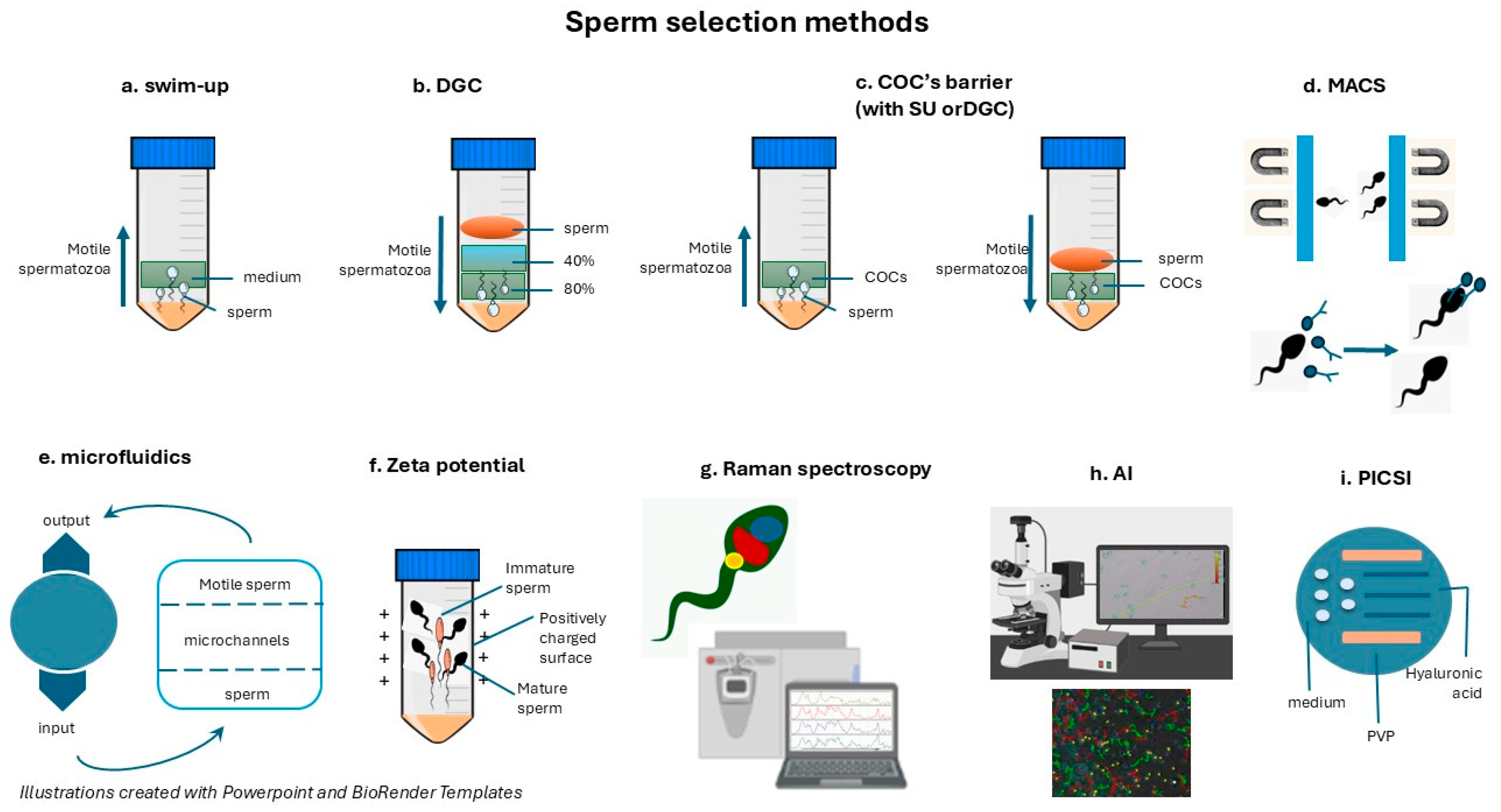 Jcm 14 01066 g001 Jcm 14 01066 g001