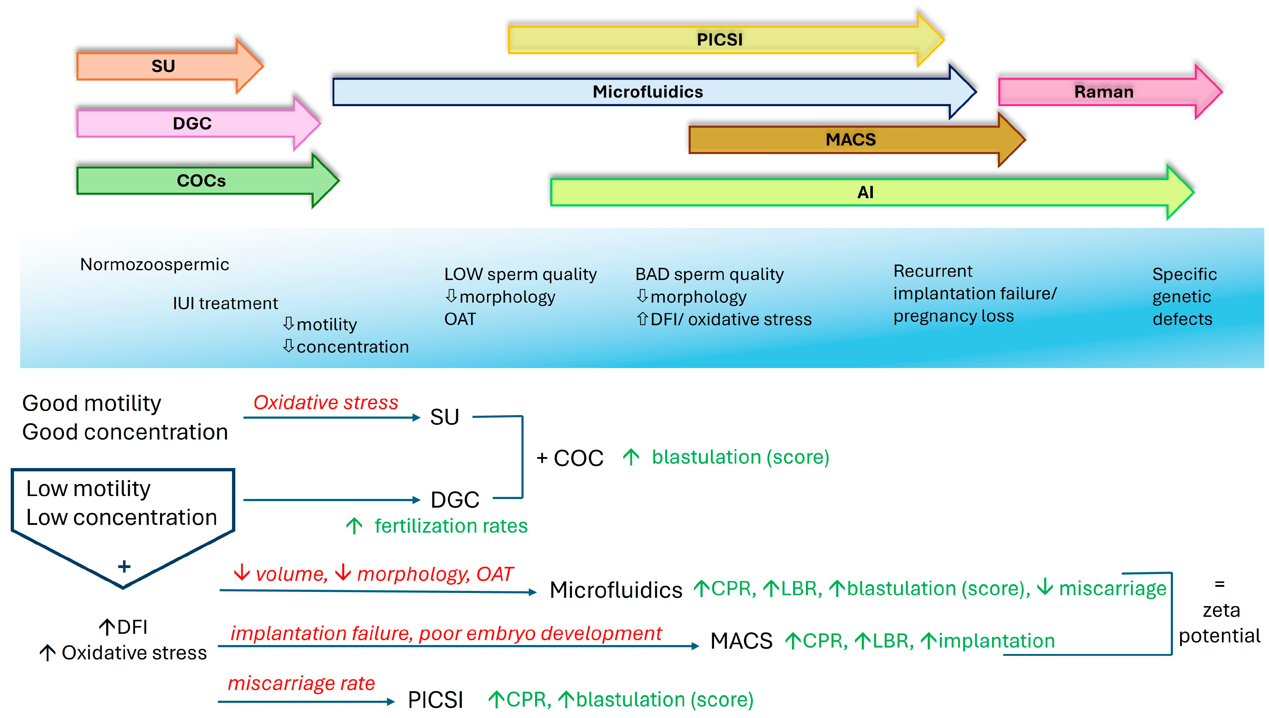 Jcm 14 01066 g002 Jcm 14 01066 g002