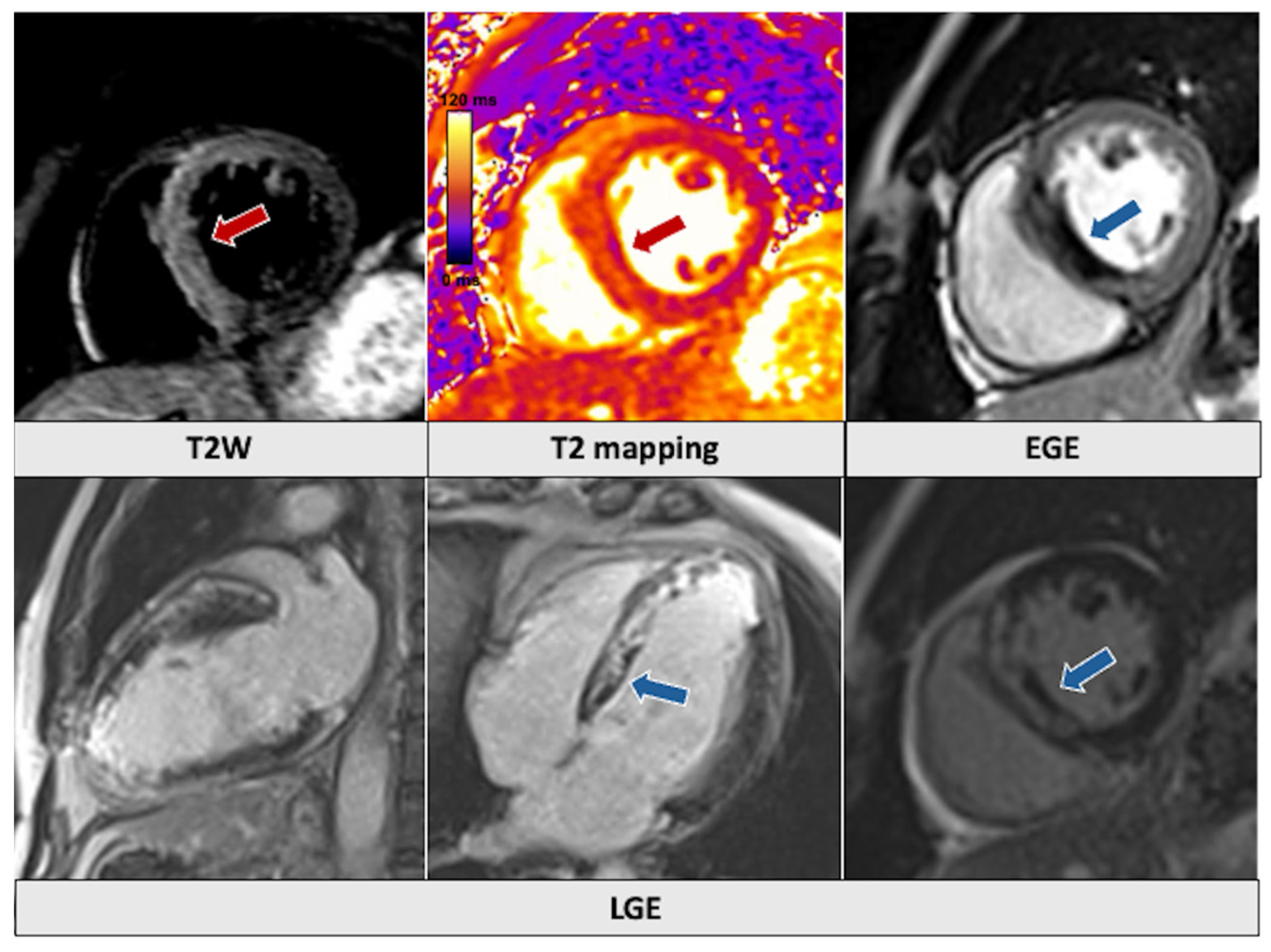 Jcm 14 01112 g001 Jcm 14 01112 g001
