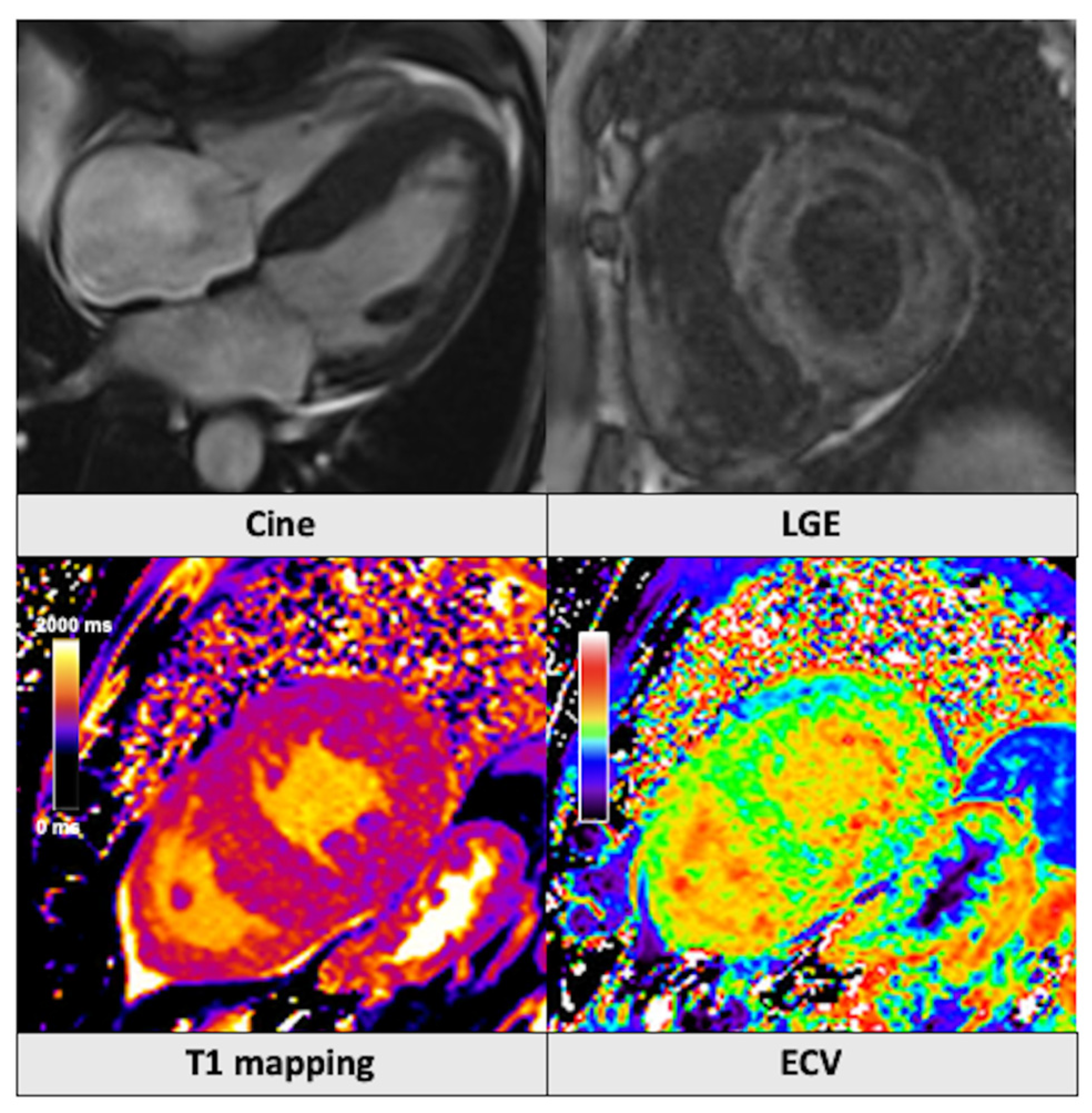 Jcm 14 01112 g002 Jcm 14 01112 g002