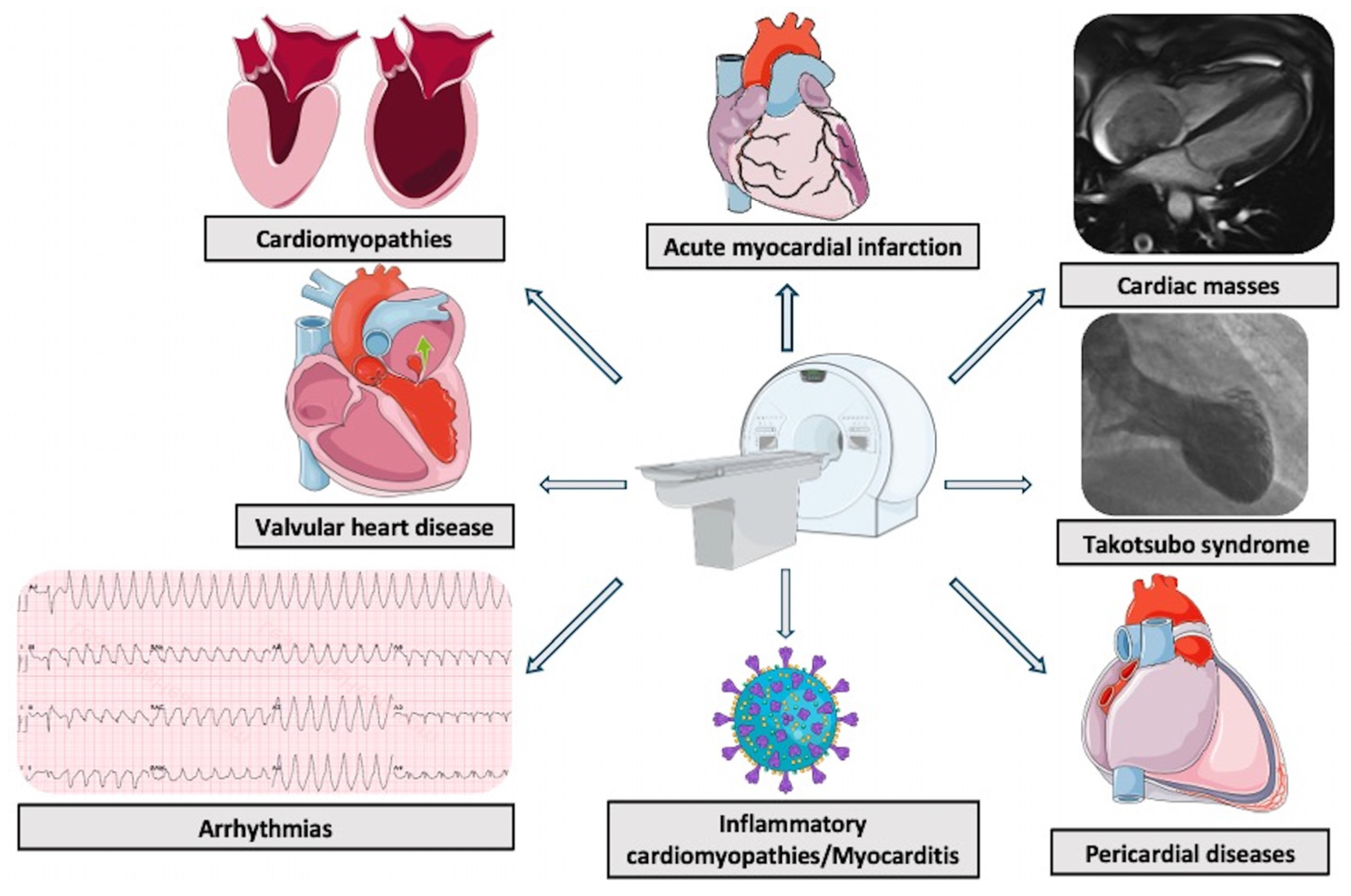Jcm 14 01112 g004 Jcm 14 01112 g004