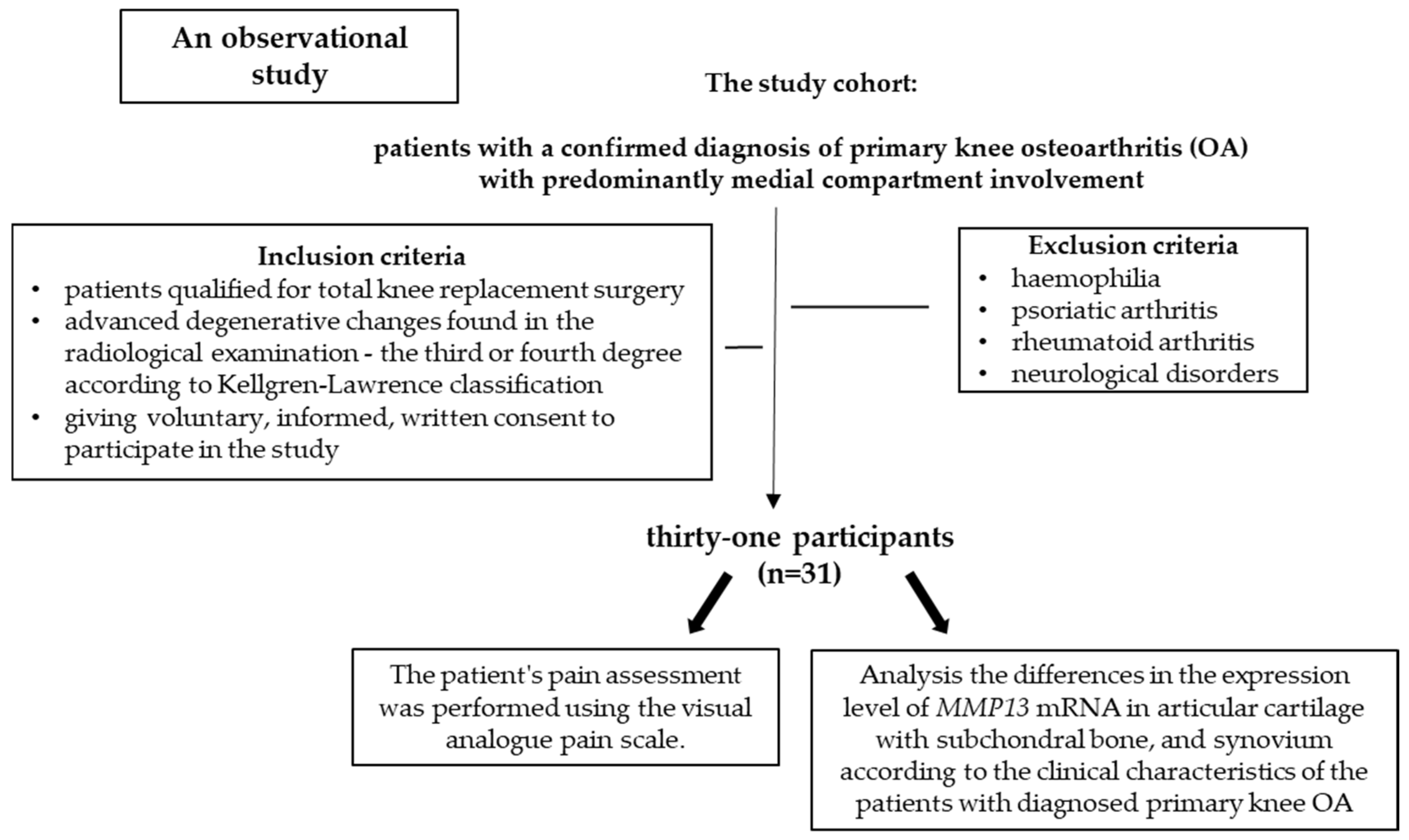 Jcm 14 01263 g001 Jcm 14 01263 g001
