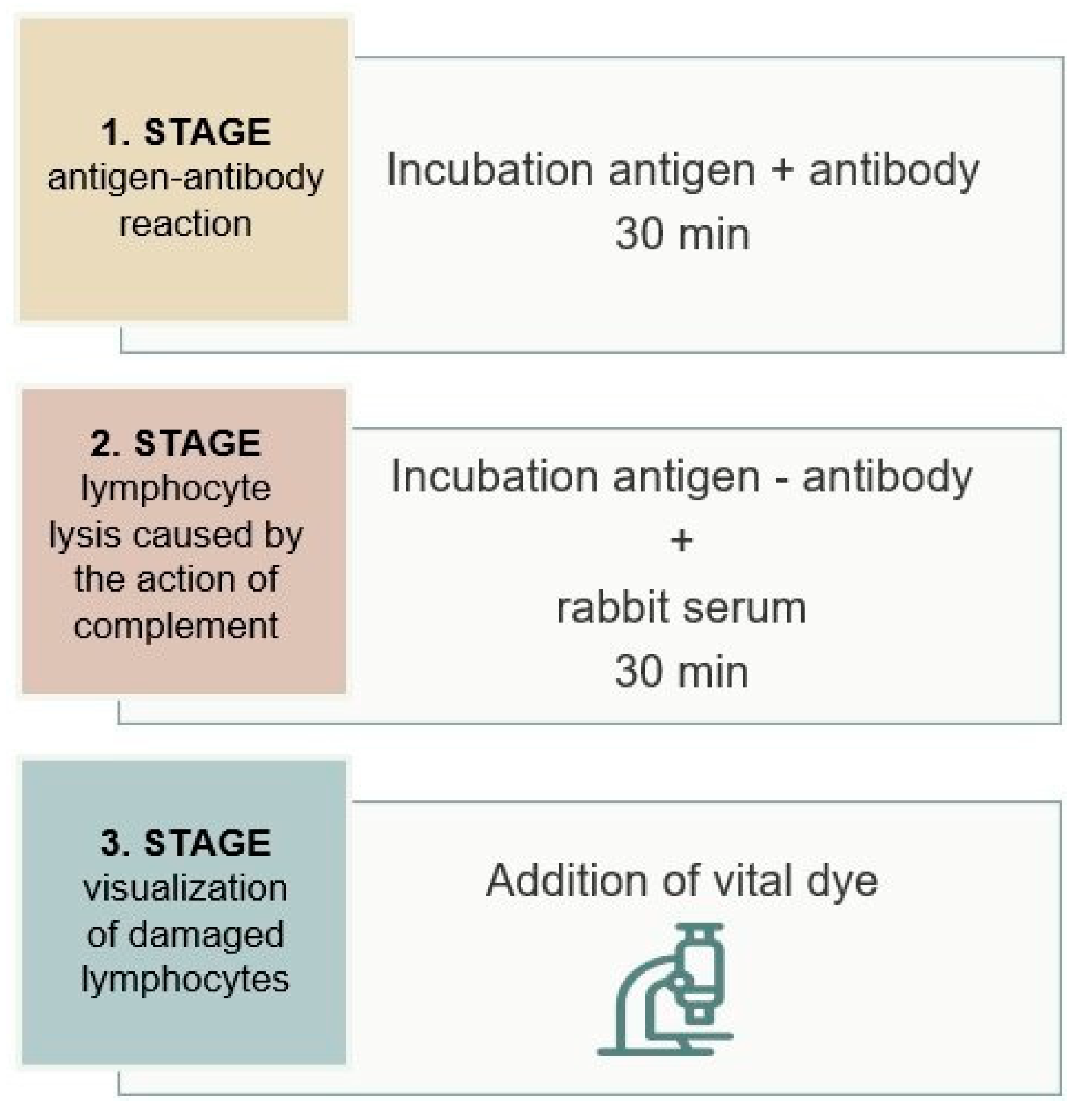 Jcm 14 01288 g002 Jcm 14 01288 g002