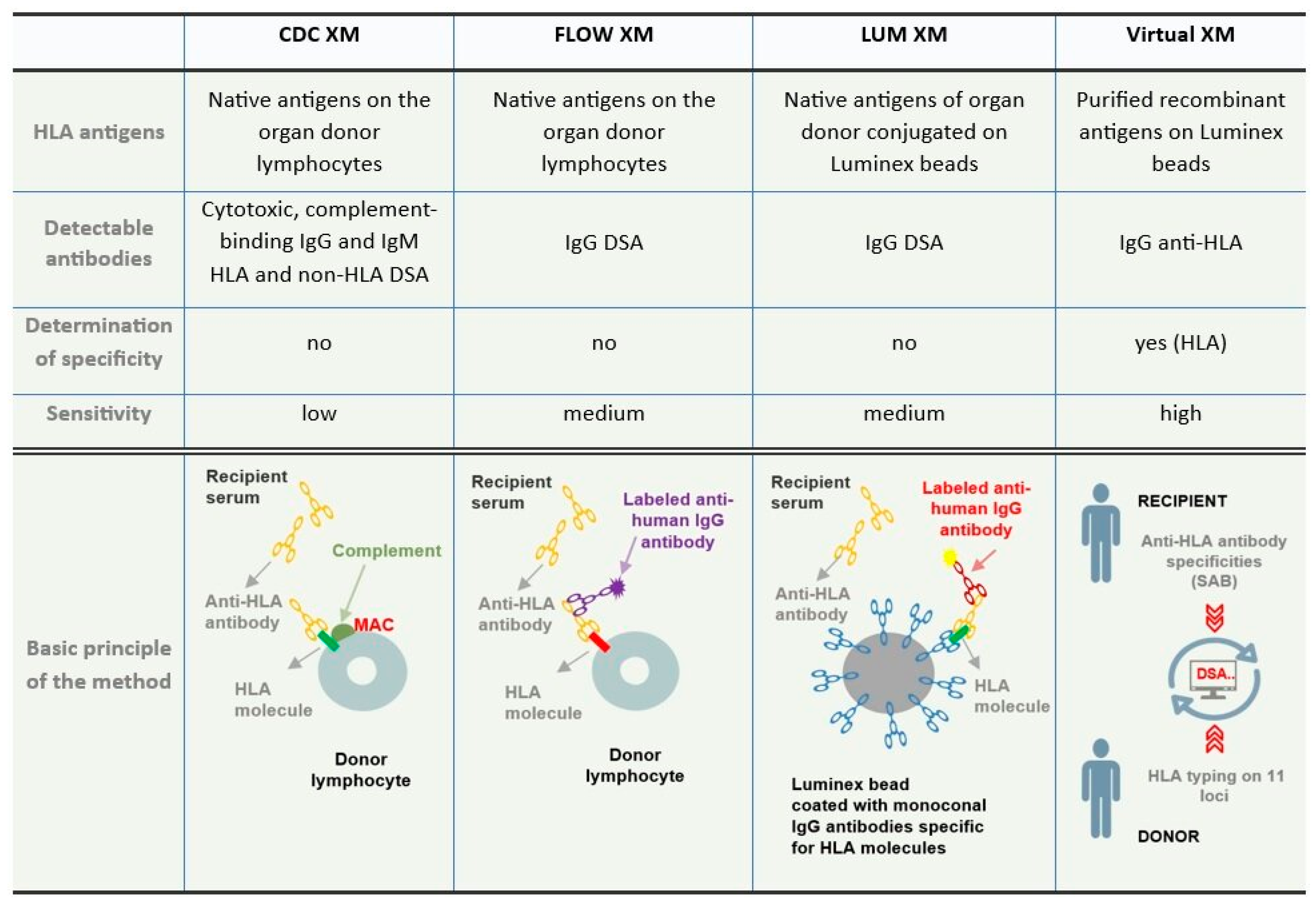 Jcm 14 01288 g004 Jcm 14 01288 g004