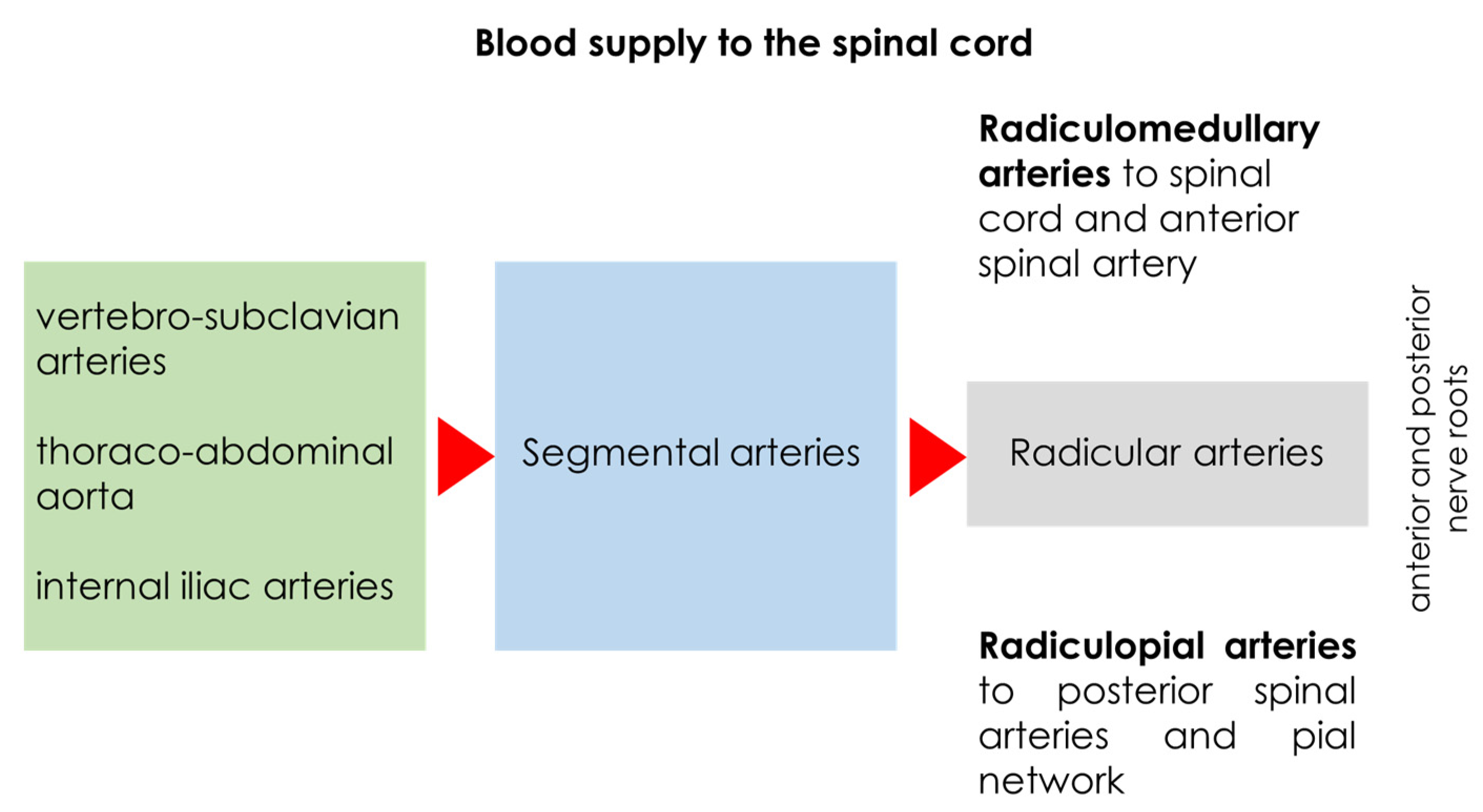 Jcm 14 01293 g001 Jcm 14 01293 g001