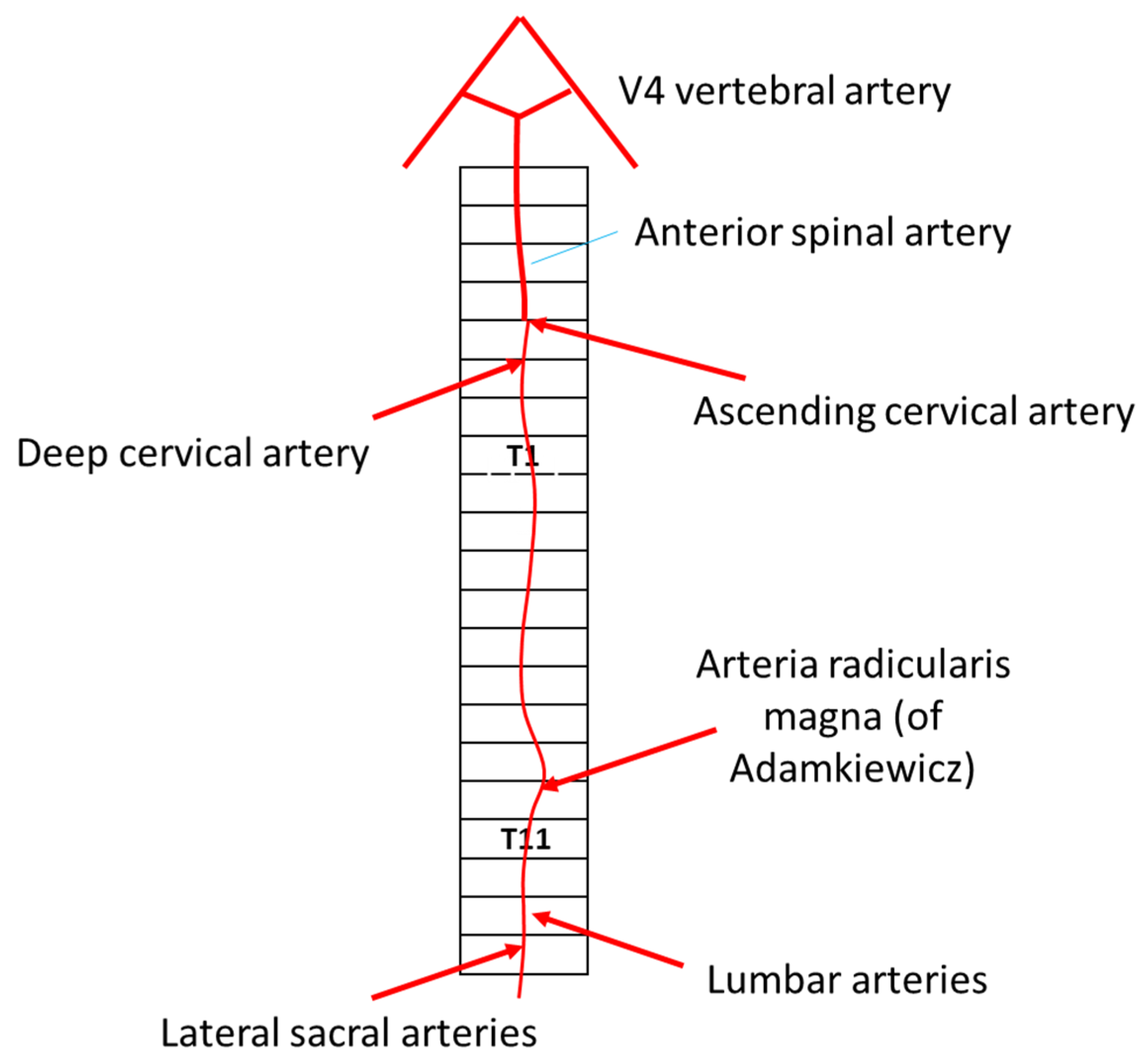 Jcm 14 01293 g002 Jcm 14 01293 g002
