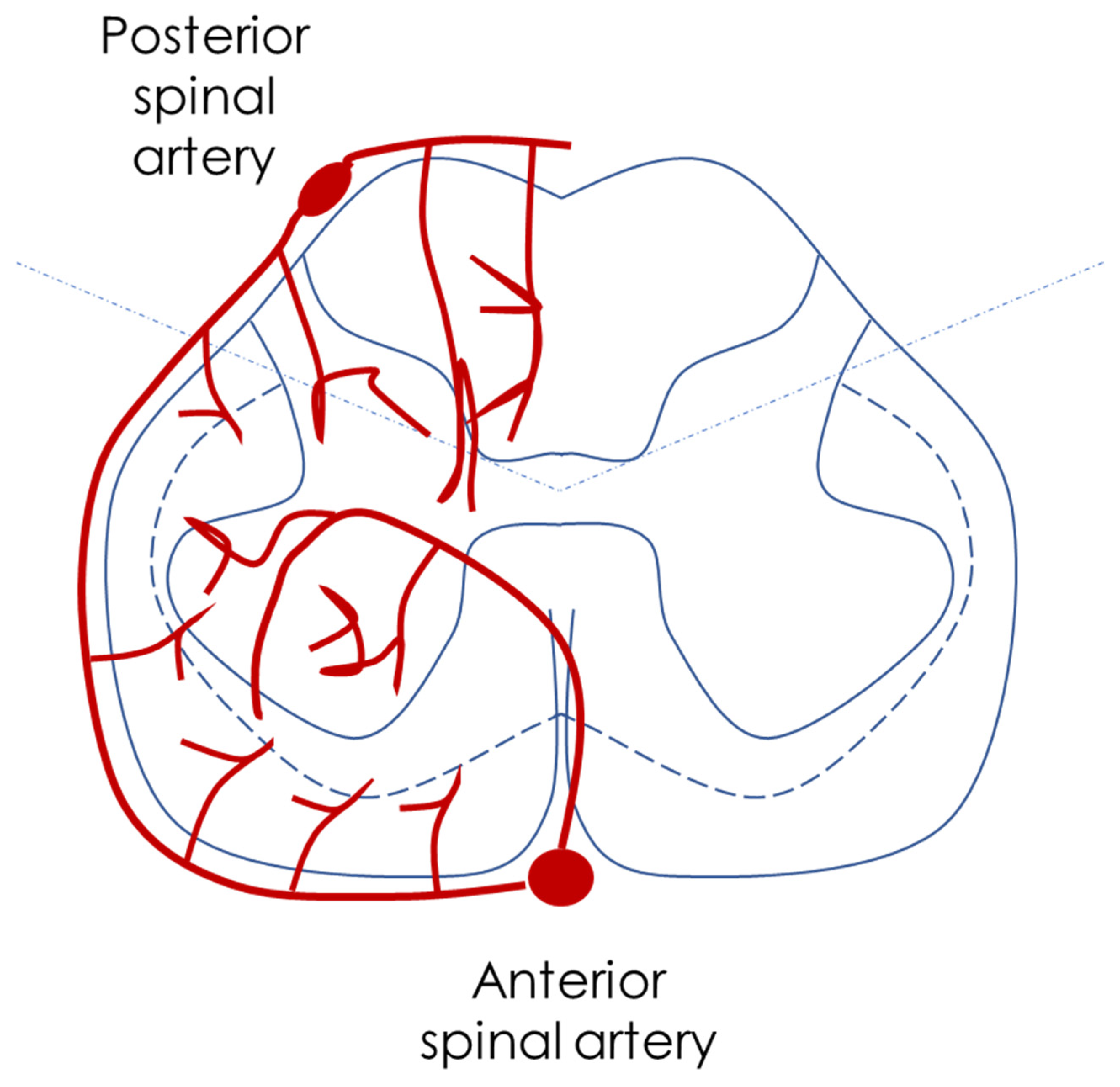 Jcm 14 01293 g003 Jcm 14 01293 g003