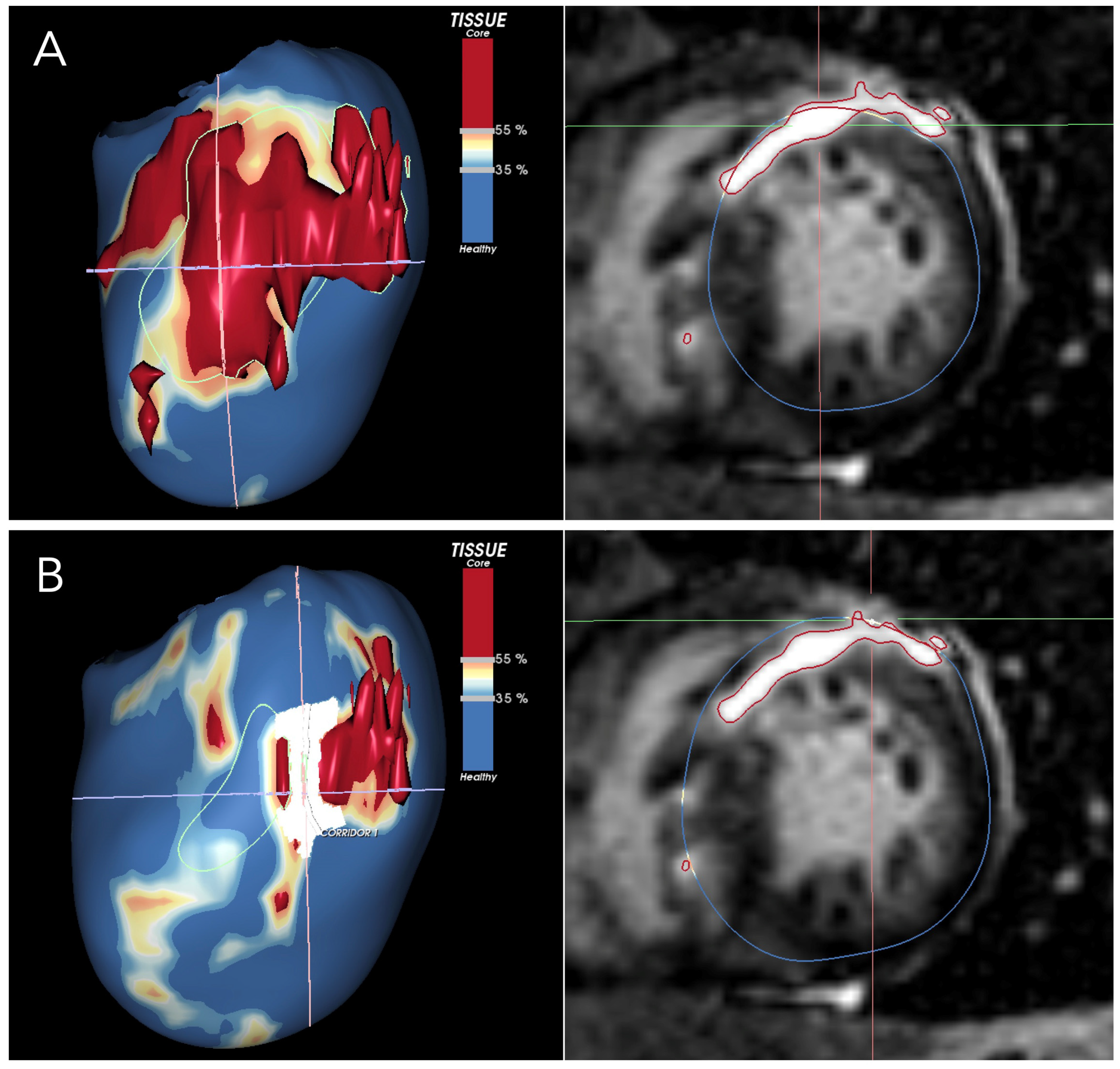 Jcm 14 01331 g001 Jcm 14 01331 g001