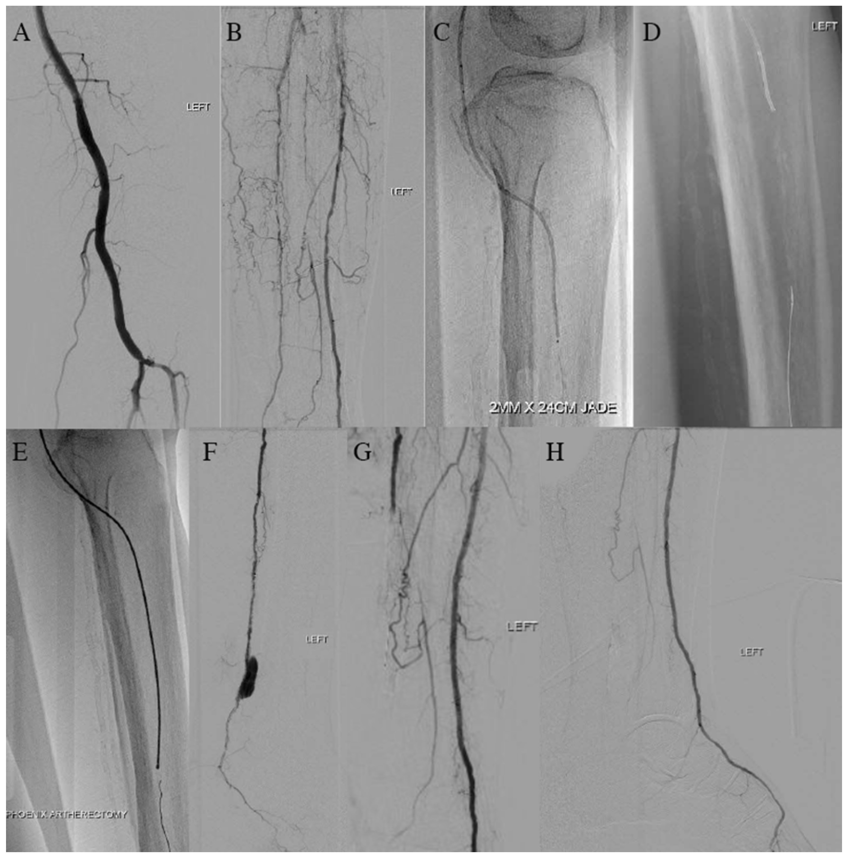 Jcm 14 01437 g002 Jcm 14 01437 g002