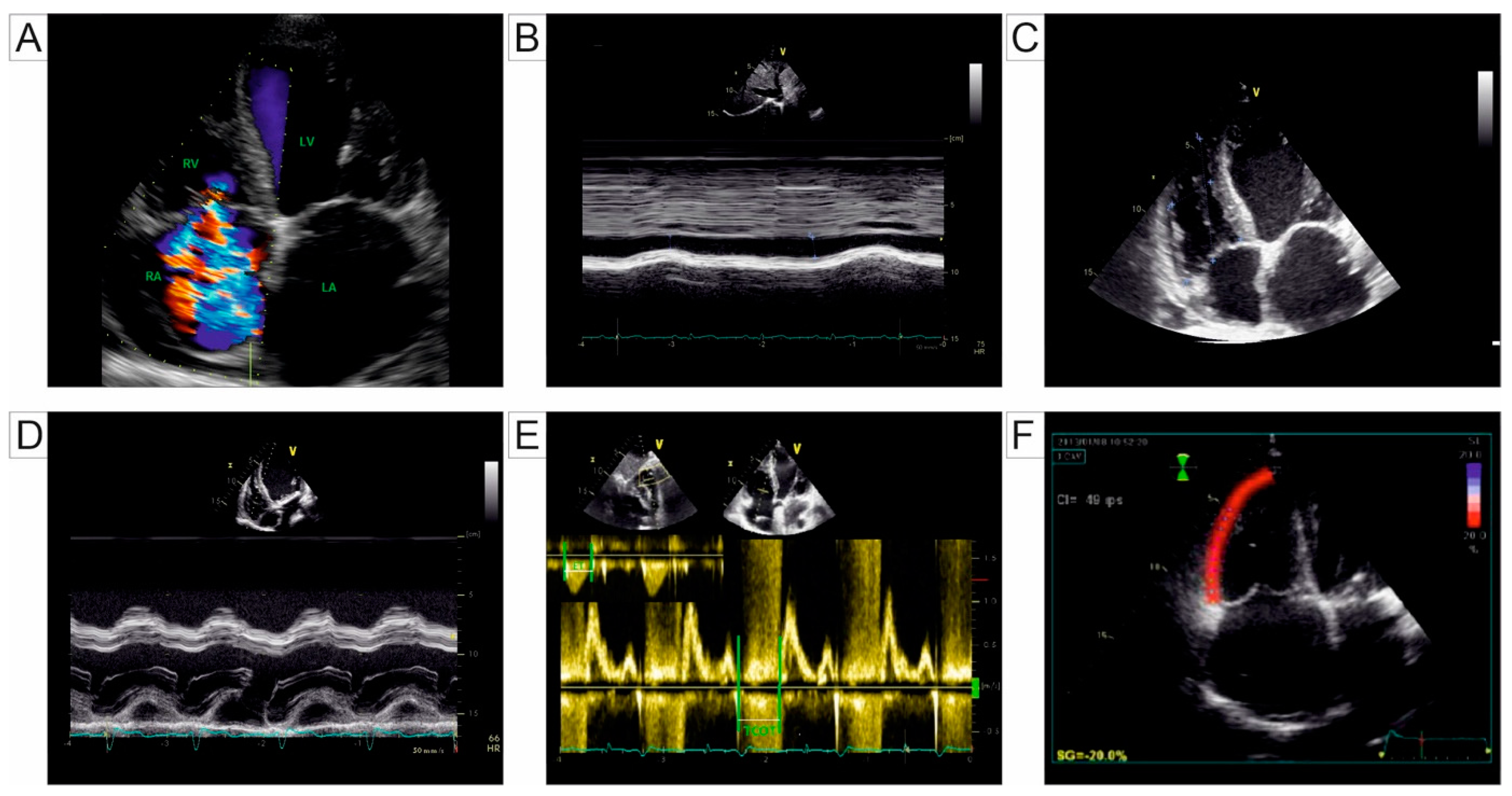 Jcm 14 01473 g001 Jcm 14 01473 g001