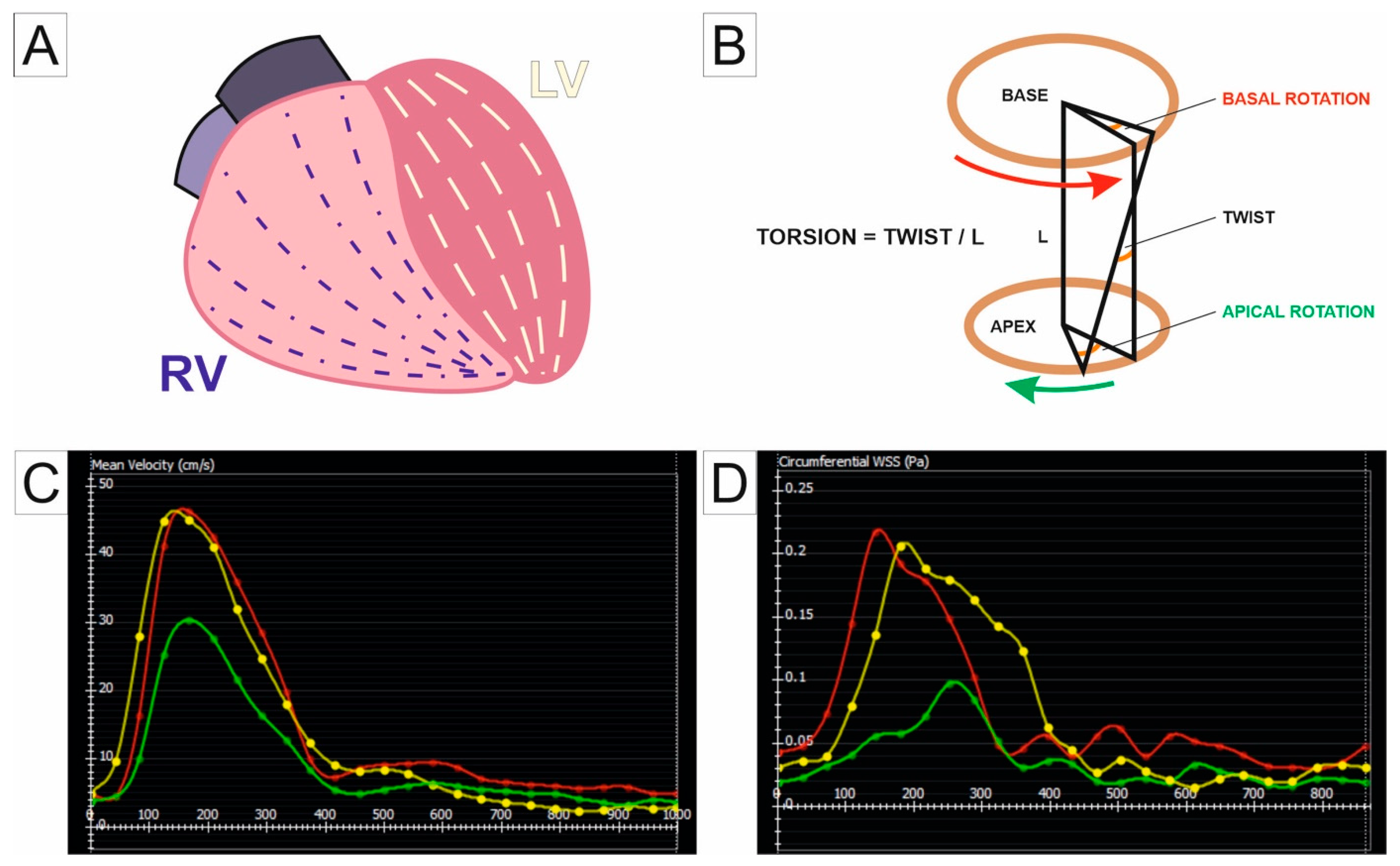 Jcm 14 01473 g005 Jcm 14 01473 g005