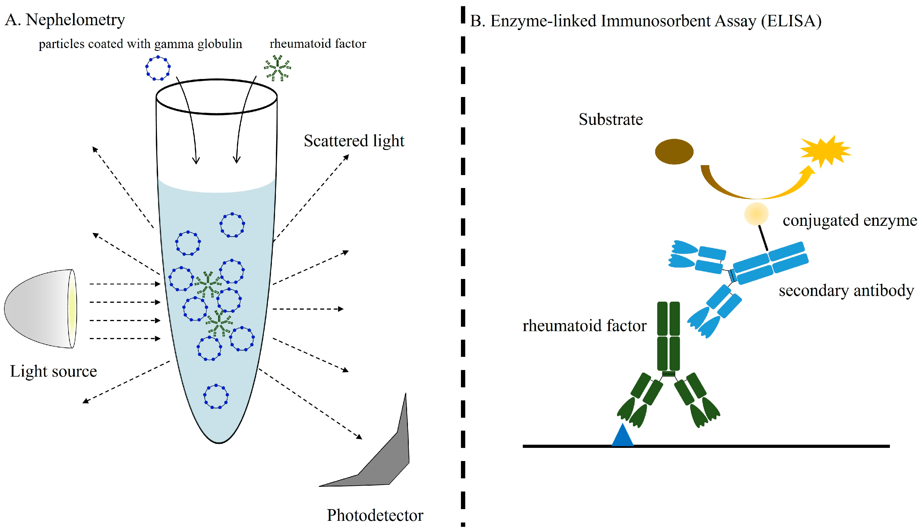 Jcm 14 01529 g002 Jcm 14 01529 g002
