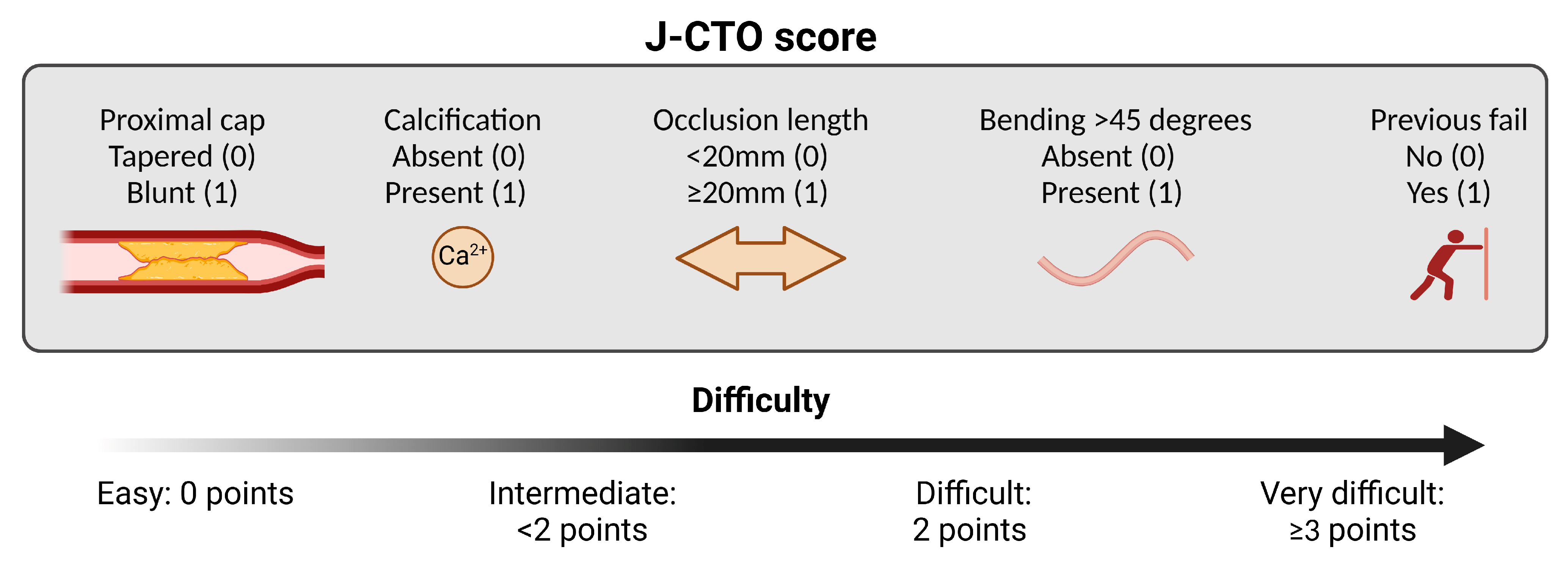 Jcm 14 01535 g002 Jcm 14 01535 g002