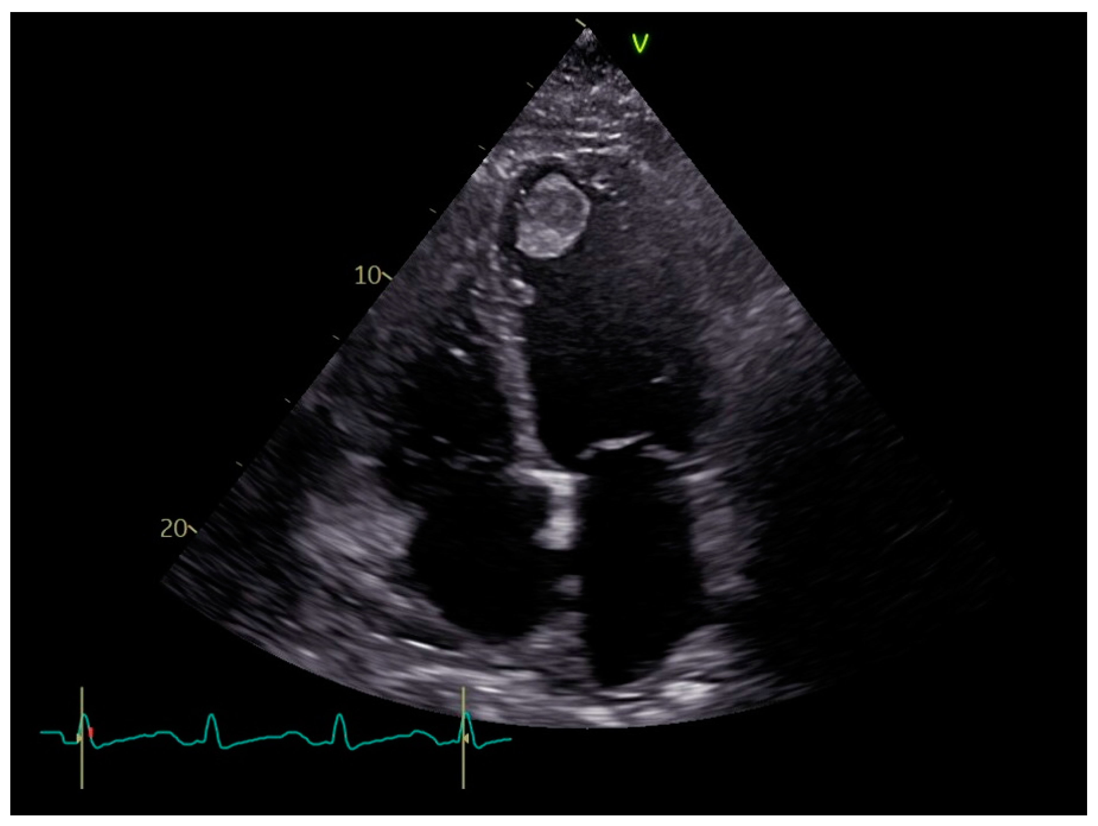 Jcm 14 01615 g001 Jcm 14 01615 g001