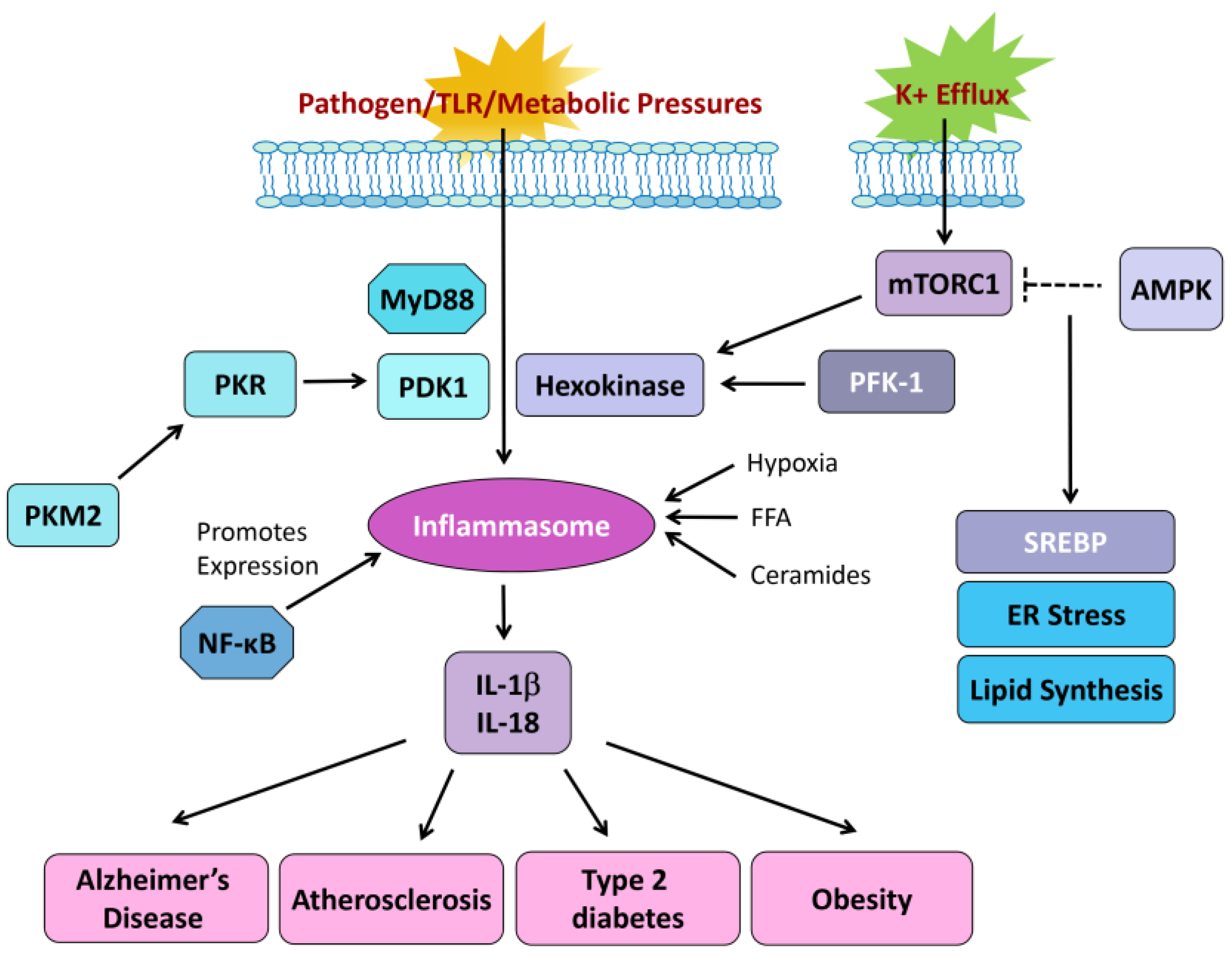 Jcm 14 01620 g002 Jcm 14 01620 g002