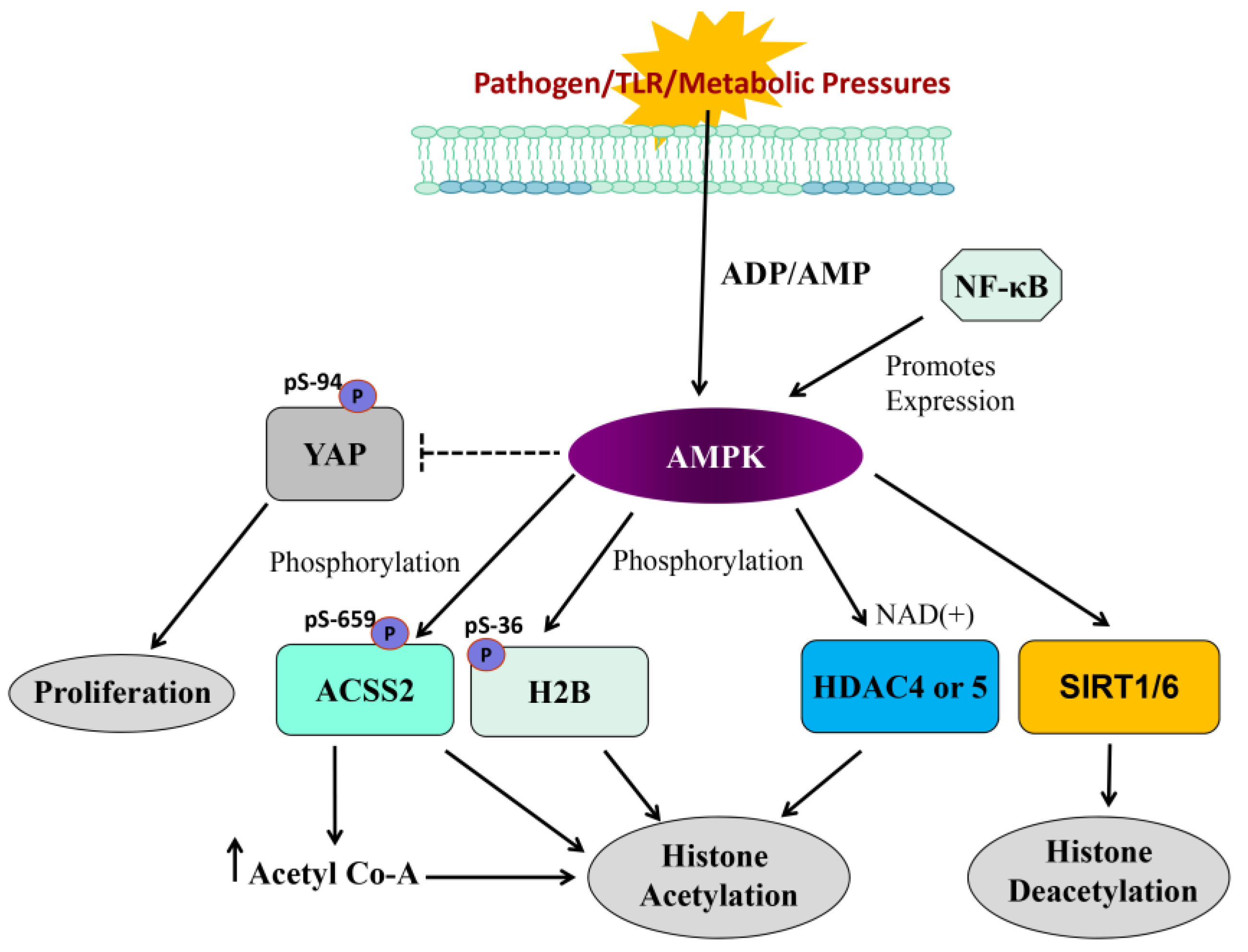 Jcm 14 01620 g003 Jcm 14 01620 g003