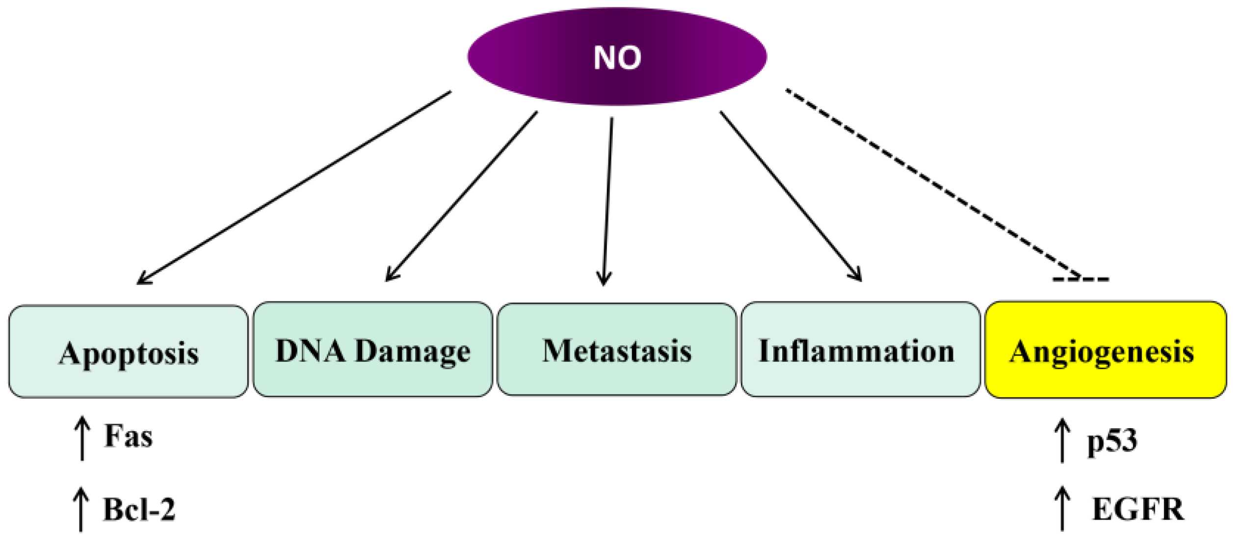 Jcm 14 01620 g004 Jcm 14 01620 g004