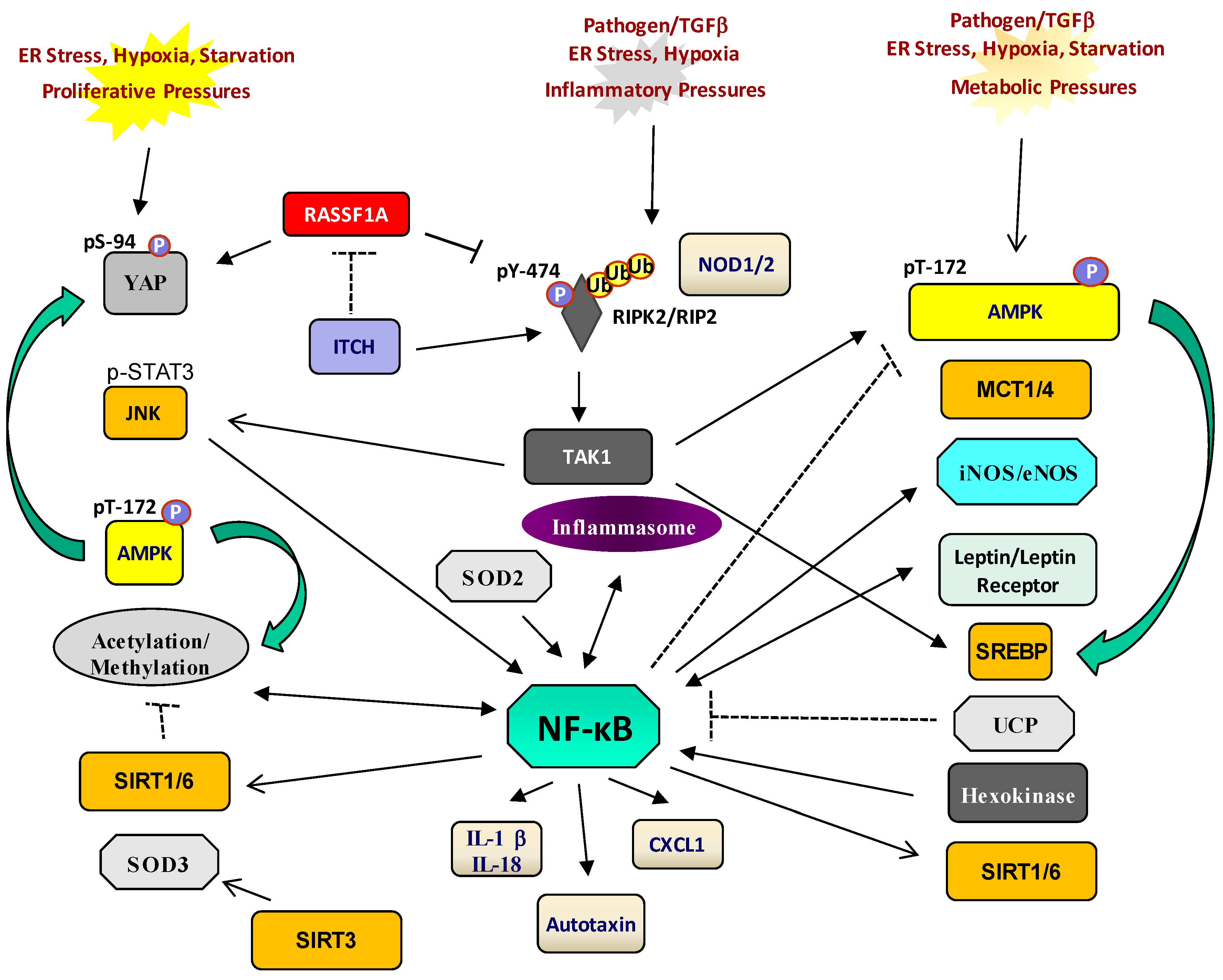 Jcm 14 01620 g005 Jcm 14 01620 g005